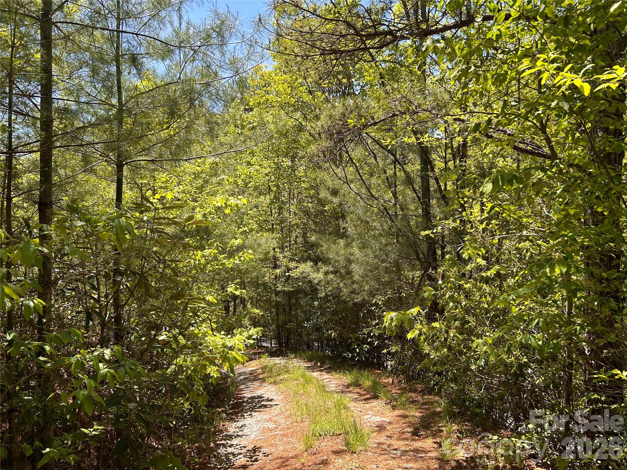 1054 Hawk Mountain Road Lake Toxaway NC 28747