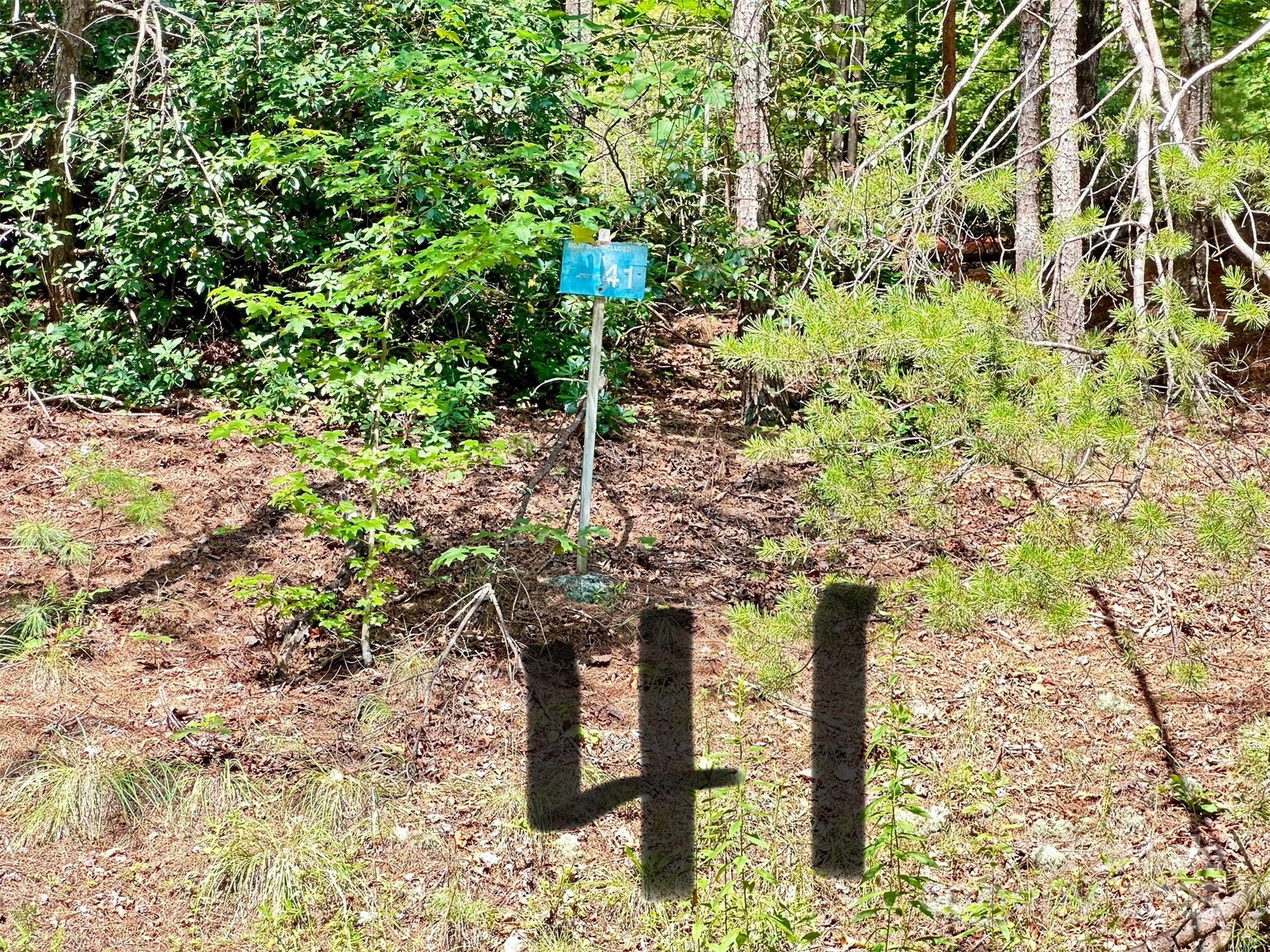 00 Plantation Drive Marion NC 28752