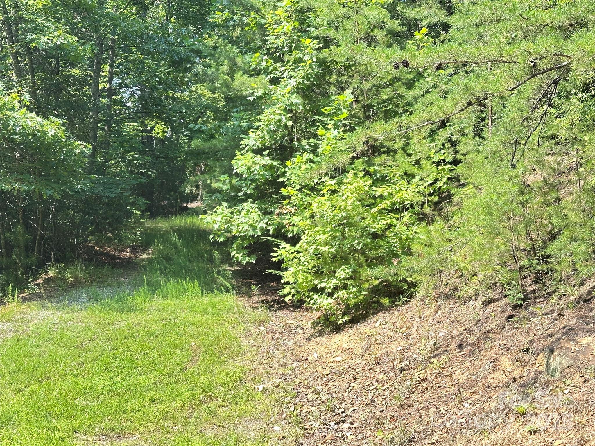 00 Plantation Drive Marion NC 28752
