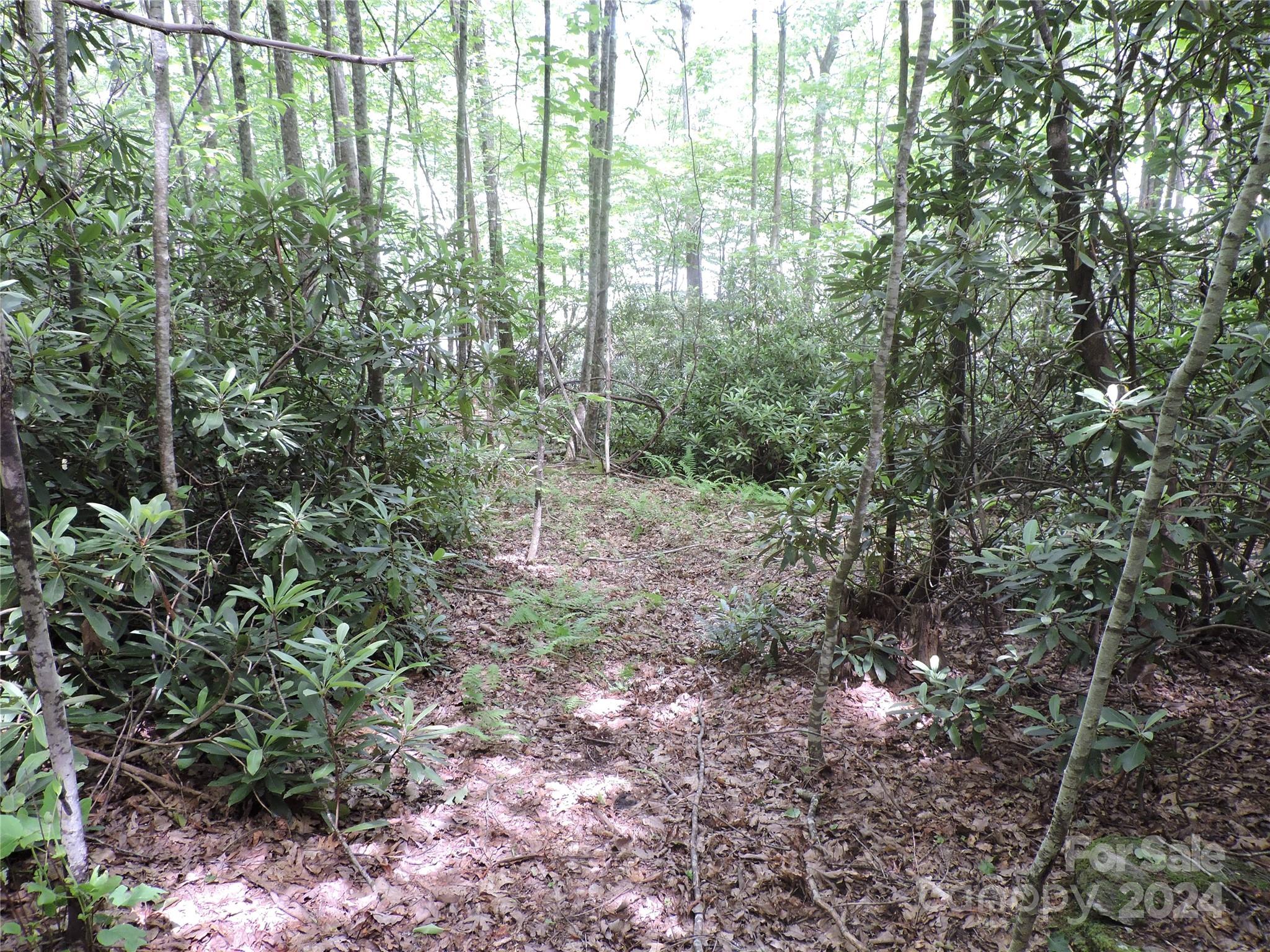 00 South Toe River Road Burnsville NC 28714