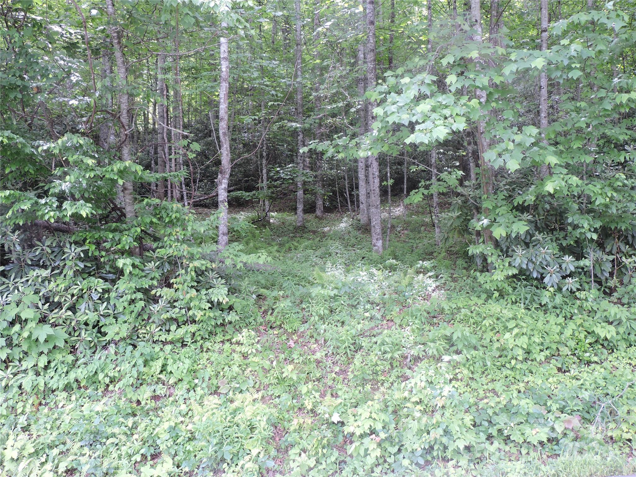 00 South Toe River Road Burnsville NC 28714