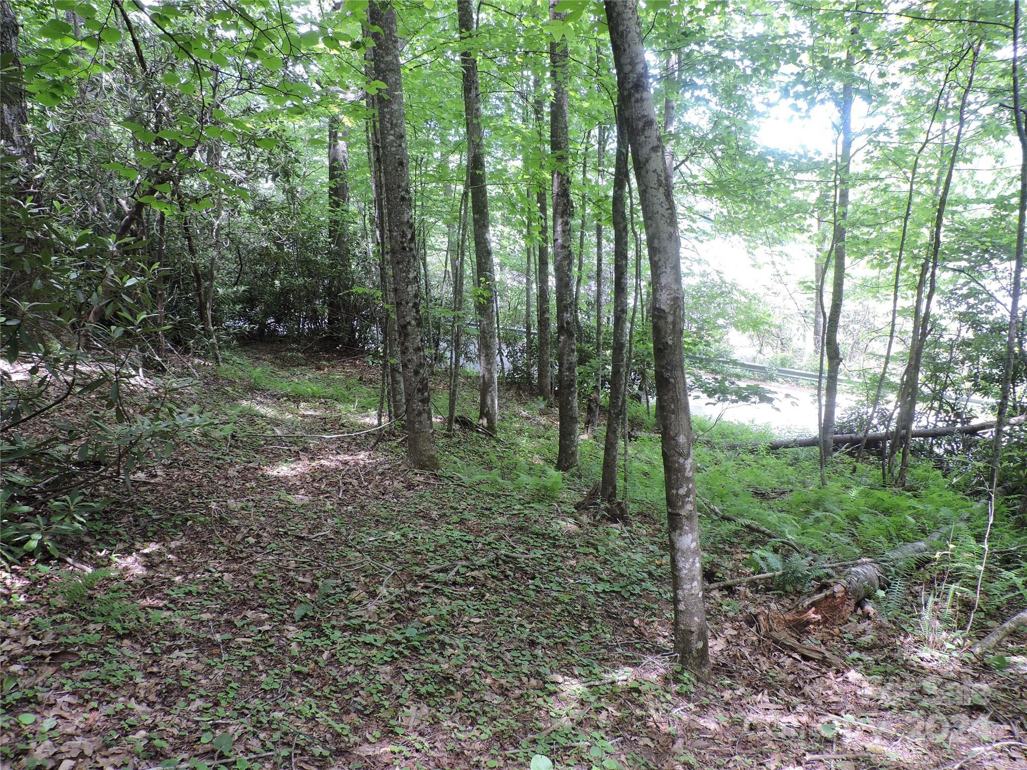 00 South Toe River Road Burnsville NC 28714