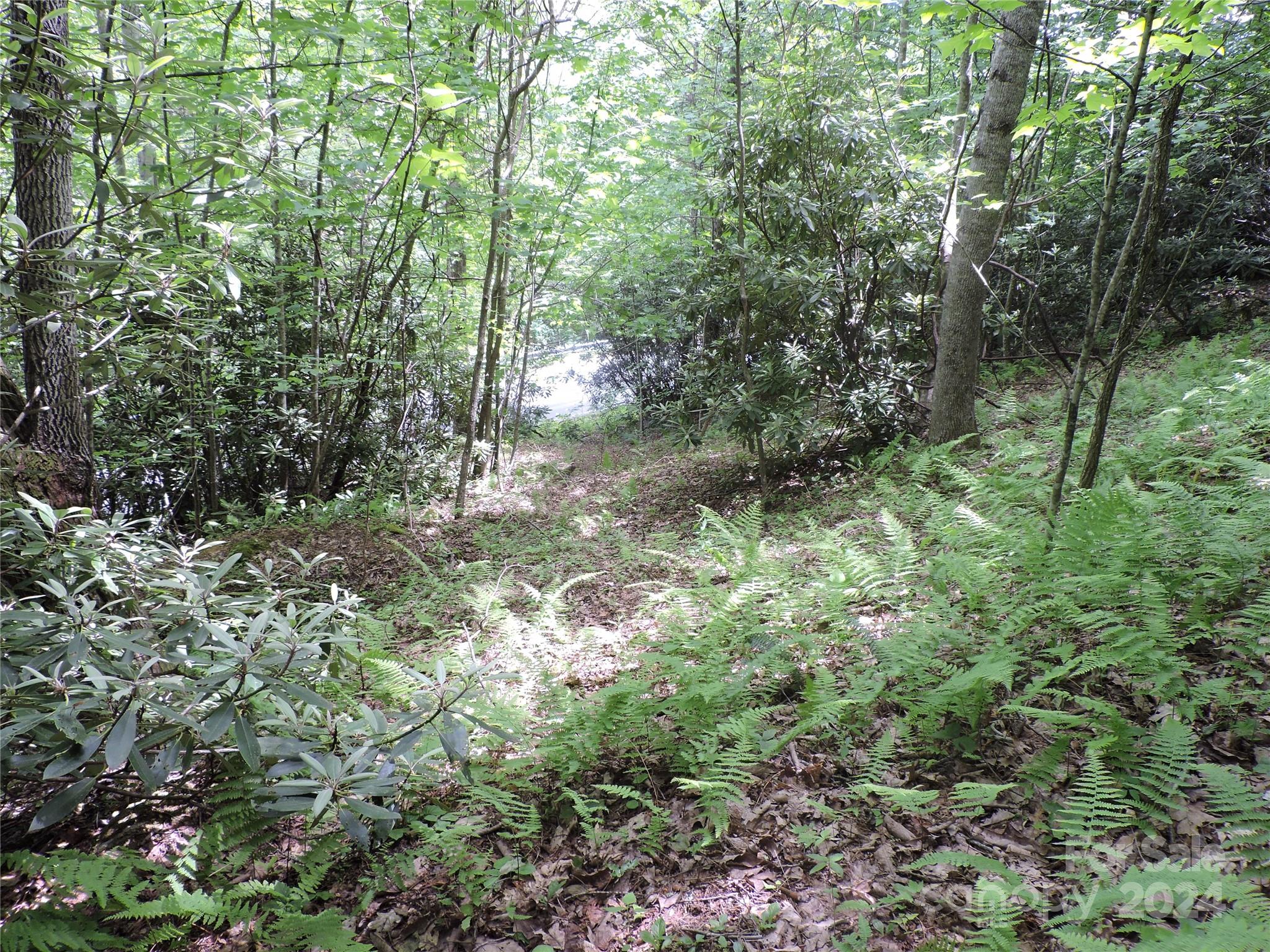 00 South Toe River Road Burnsville NC 28714