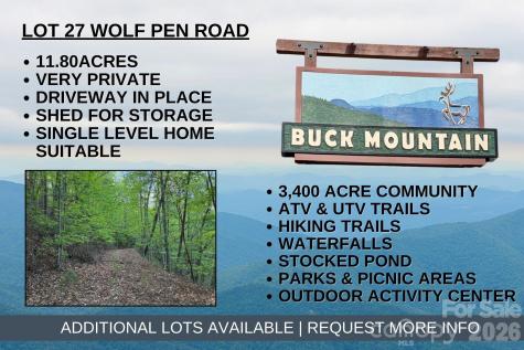 Tbd Wolf Pen Road Purlear NC 28665