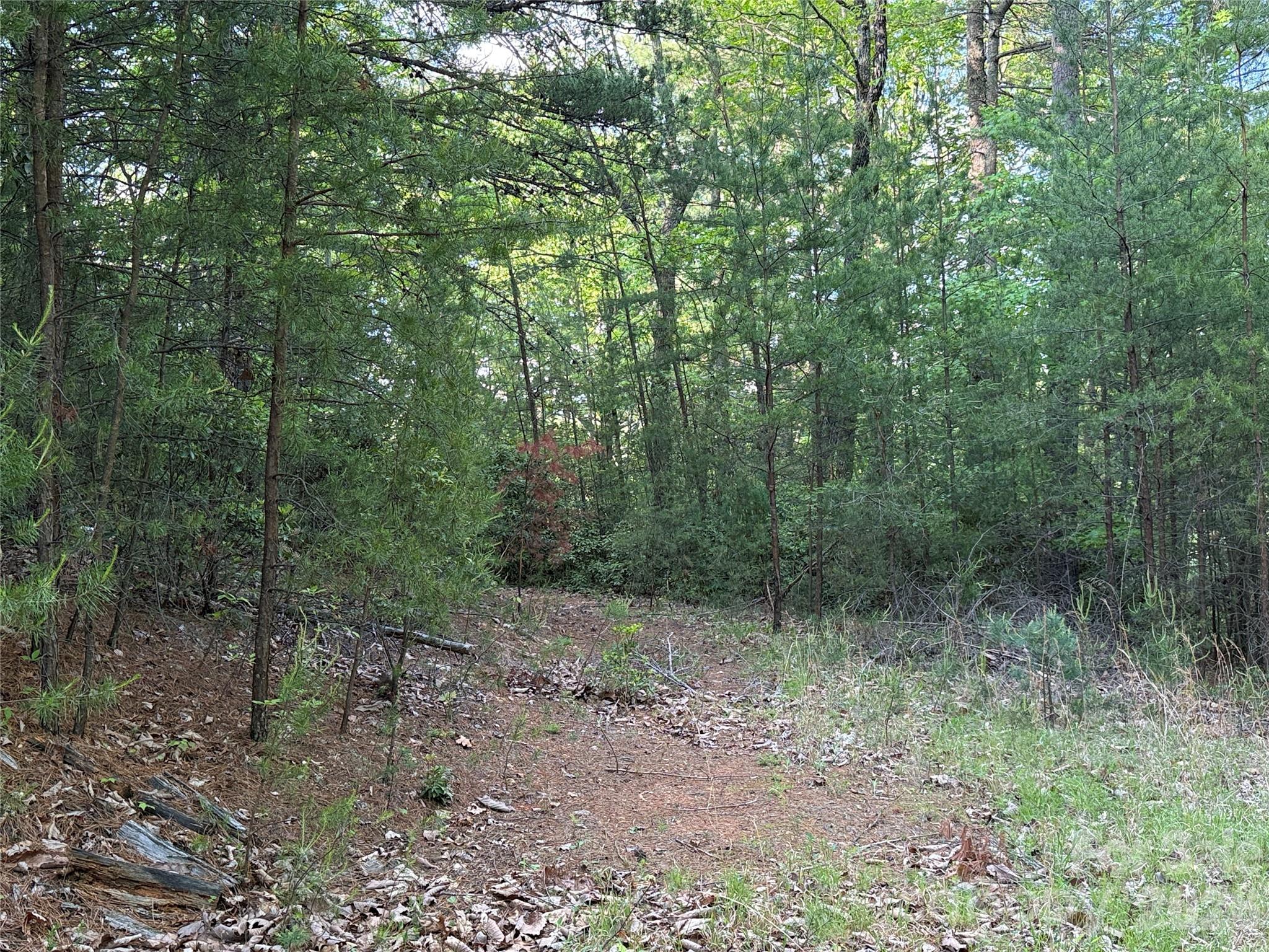 Tbd Wolf Pen Road Purlear NC 28665