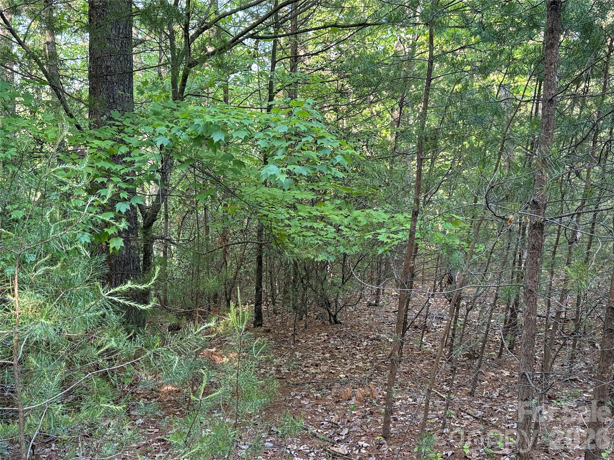 Tbd Wolf Pen Road Purlear NC 28665