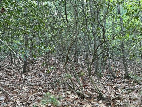 Tbd Wolf Pen Road Purlear NC 28665