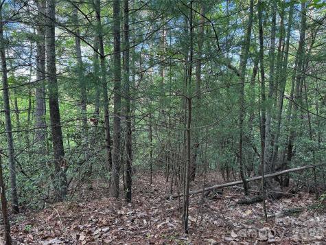 Tbd Wolf Pen Road Purlear NC 28665