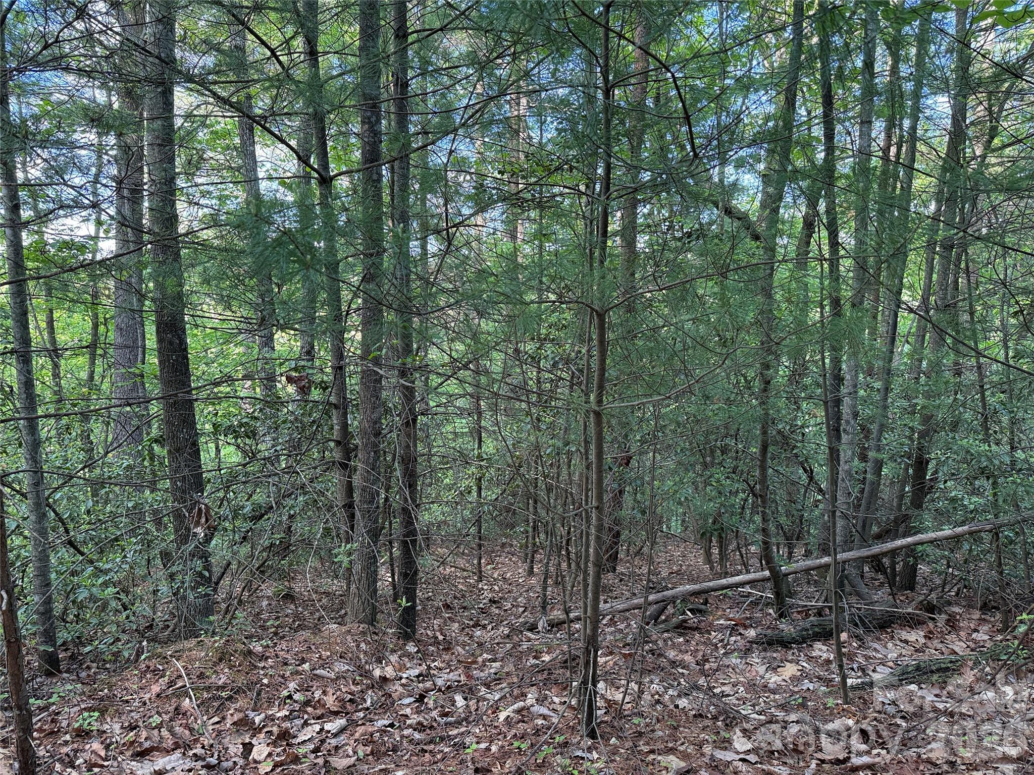 Tbd Wolf Pen Road Purlear NC 28665