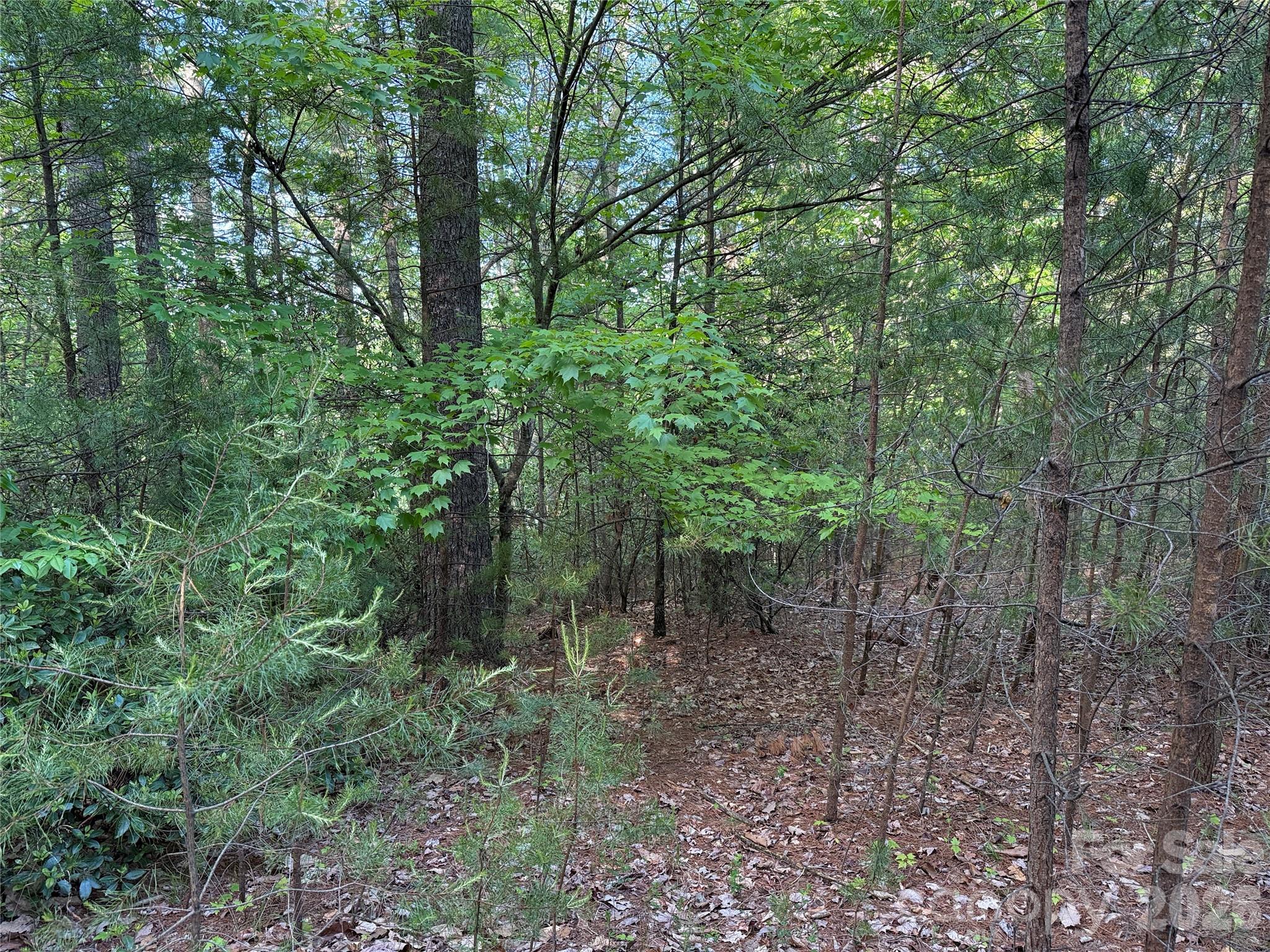 Tbd Wolf Pen Road Purlear NC 28665
