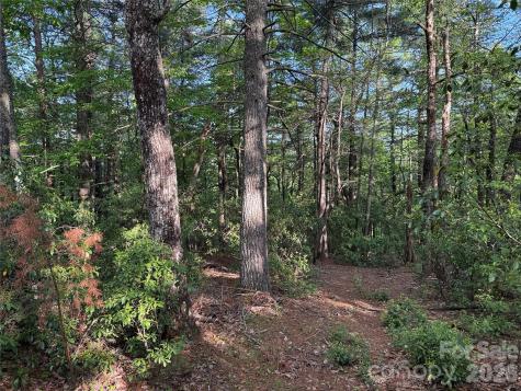 Tbd Wolf Pen Road Purlear NC 28665