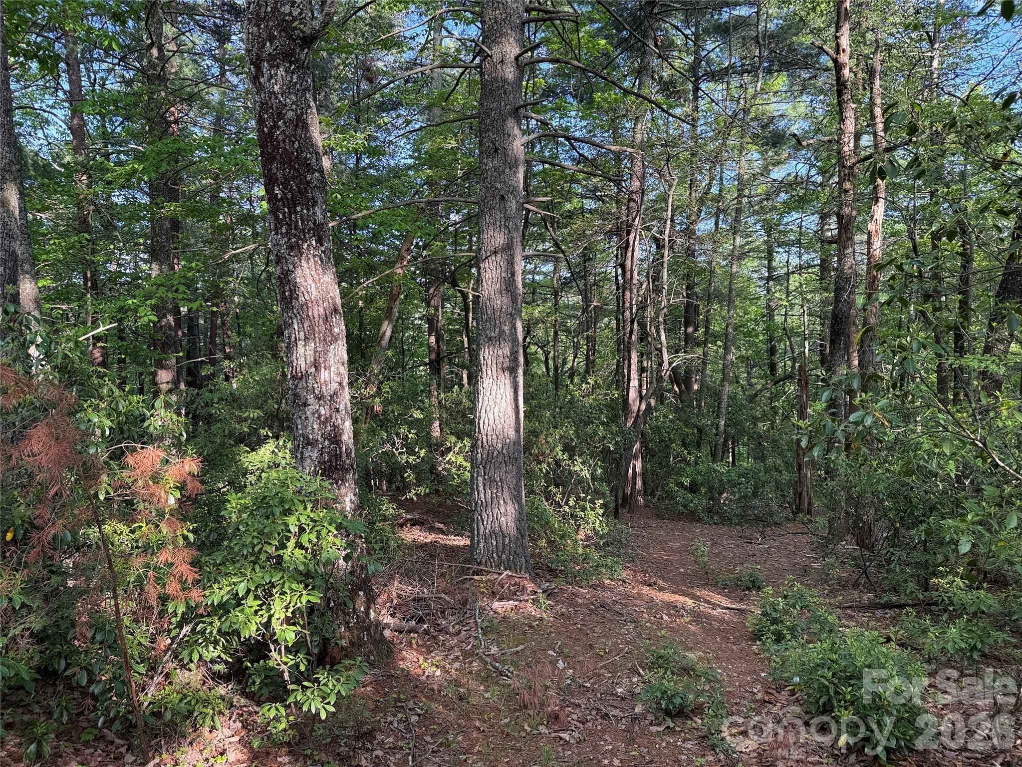 Tbd Wolf Pen Road Purlear NC 28665