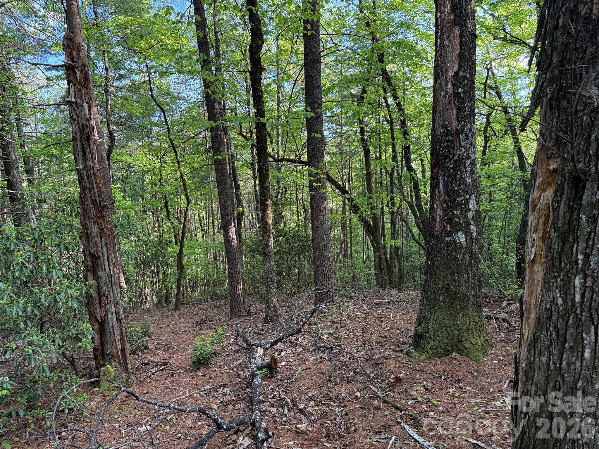Tbd Wolf Pen Road Purlear NC 28665