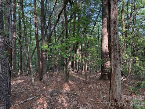 Tbd Wolf Pen Road Purlear NC 28665