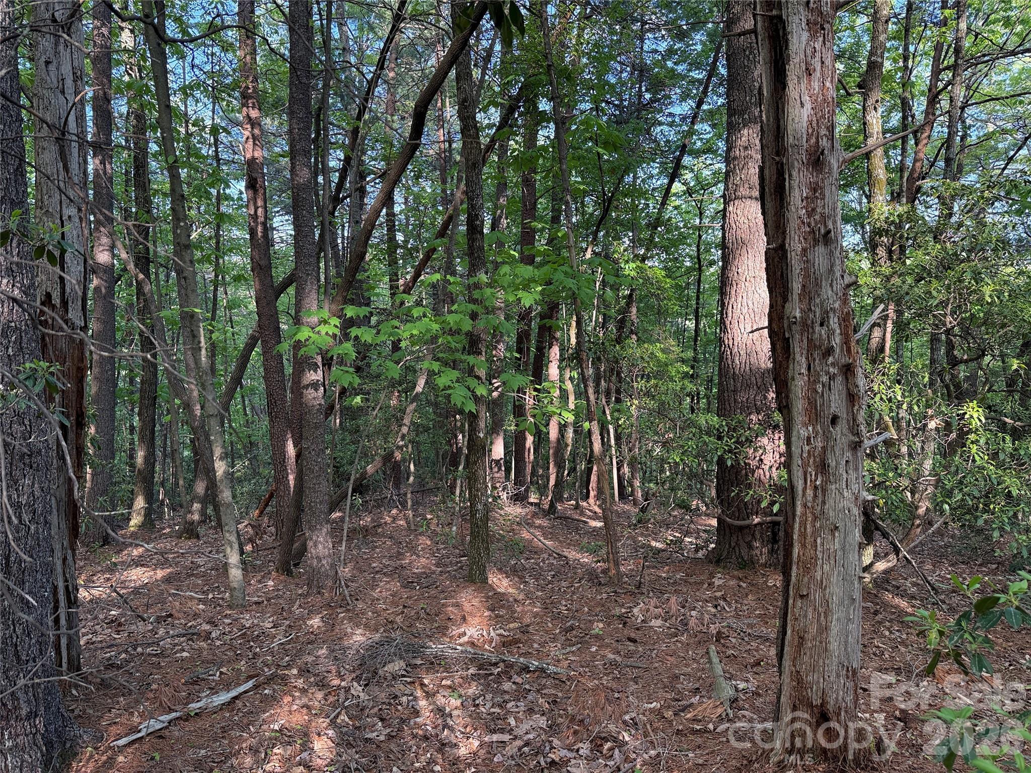 Tbd Wolf Pen Road Purlear NC 28665