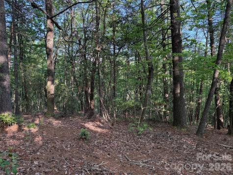 Tbd Wolf Pen Road Purlear NC 28665