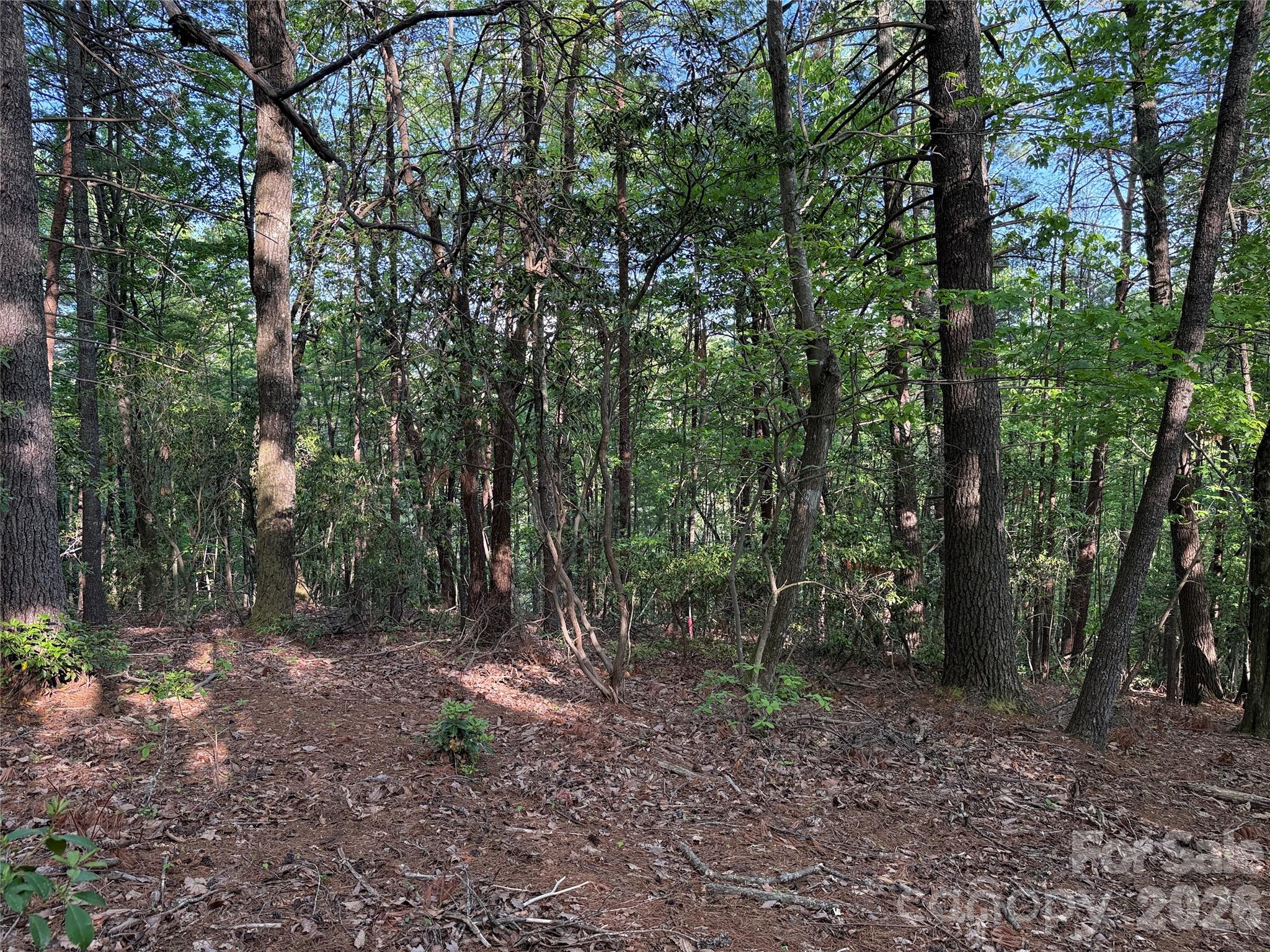 Tbd Wolf Pen Road Purlear NC 28665