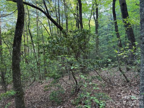 Tbd Wolf Pen Road Purlear NC 28665