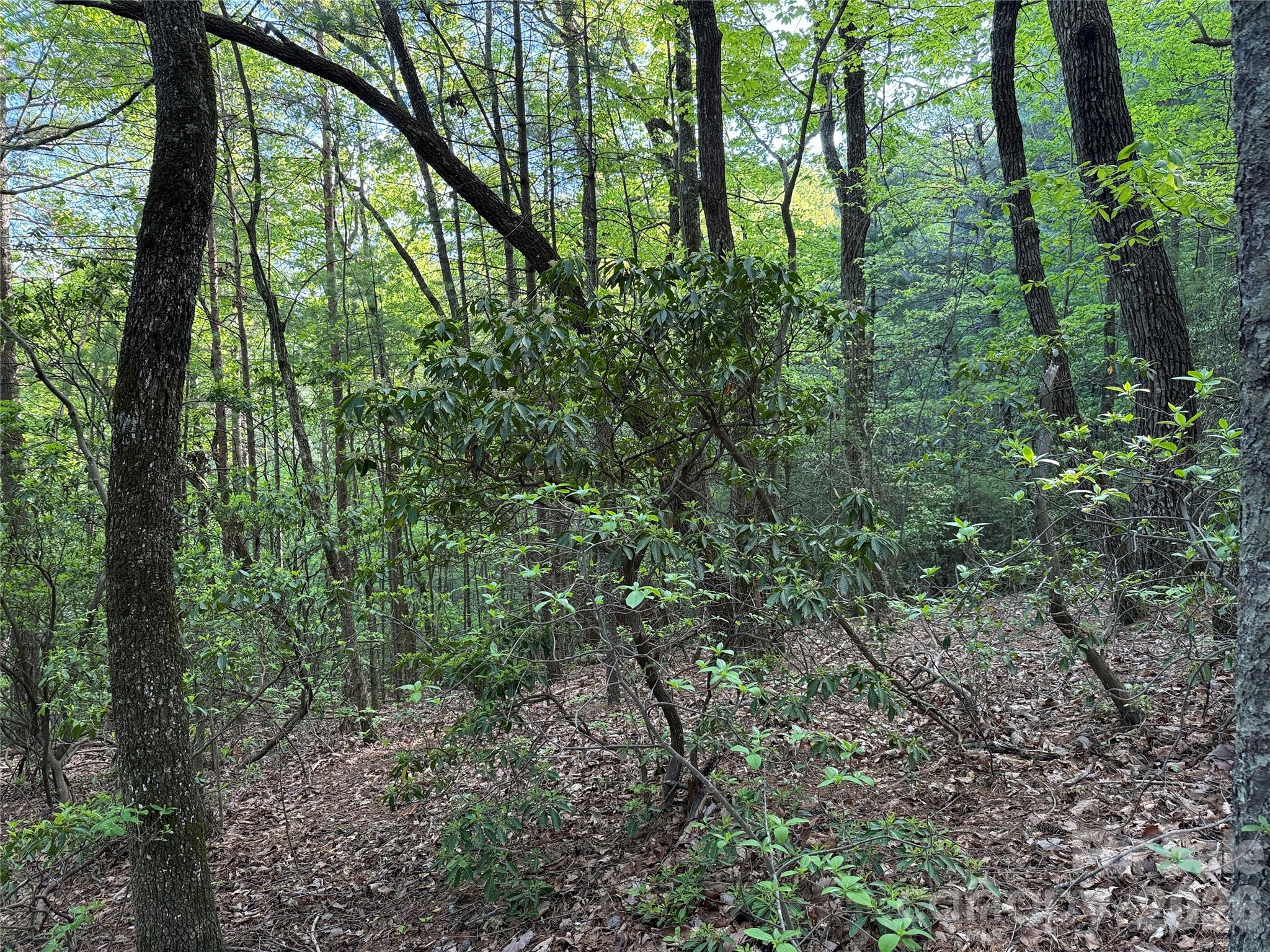 Tbd Wolf Pen Road Purlear NC 28665