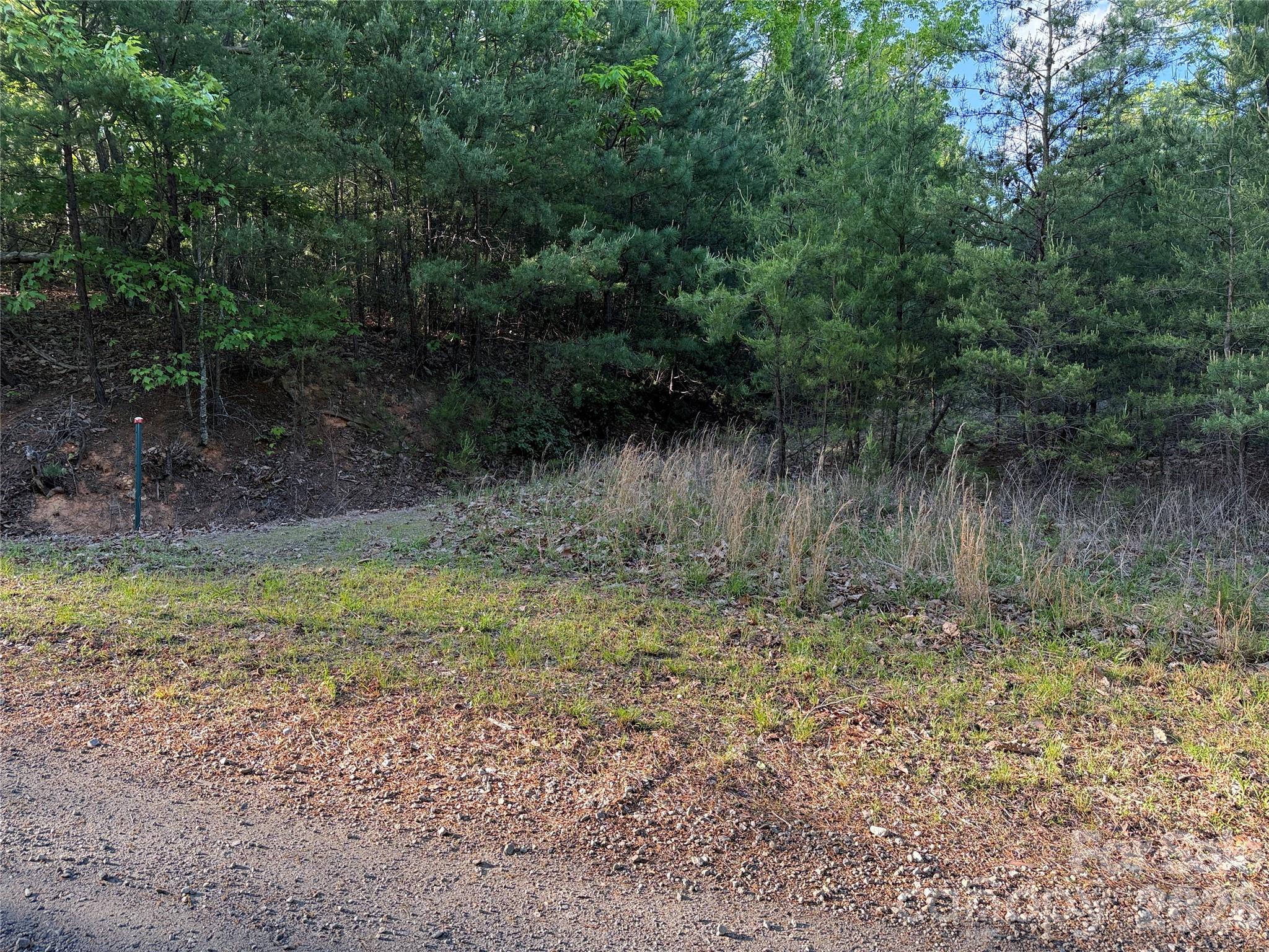 Tbd Wolf Pen Road Purlear NC 28665