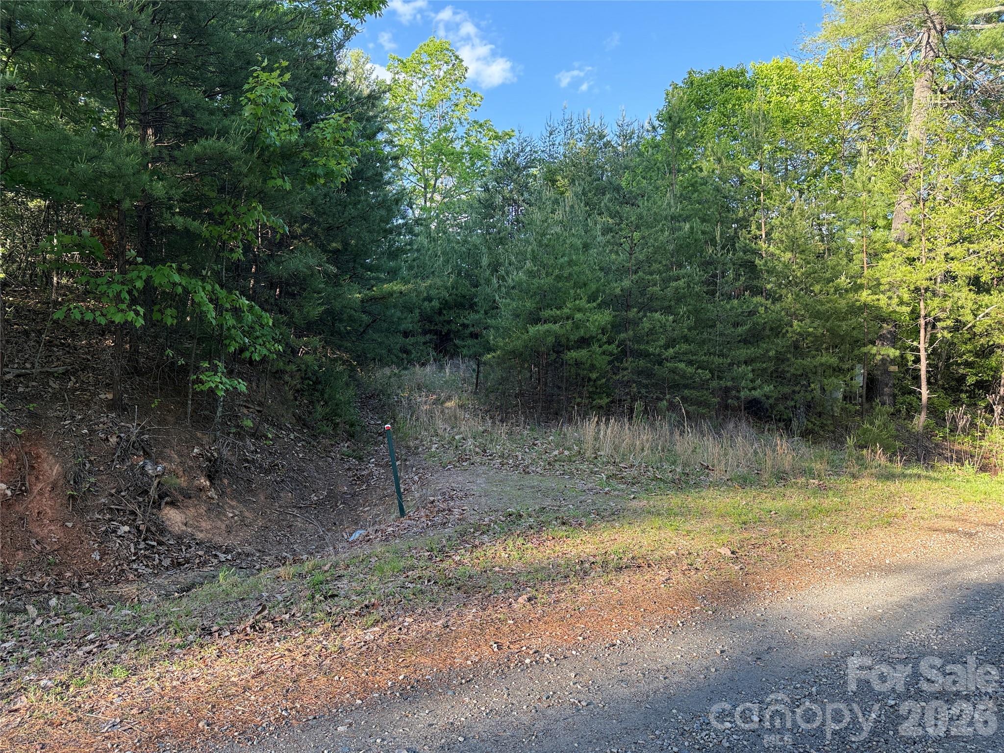 Tbd Wolf Pen Road Purlear NC 28665