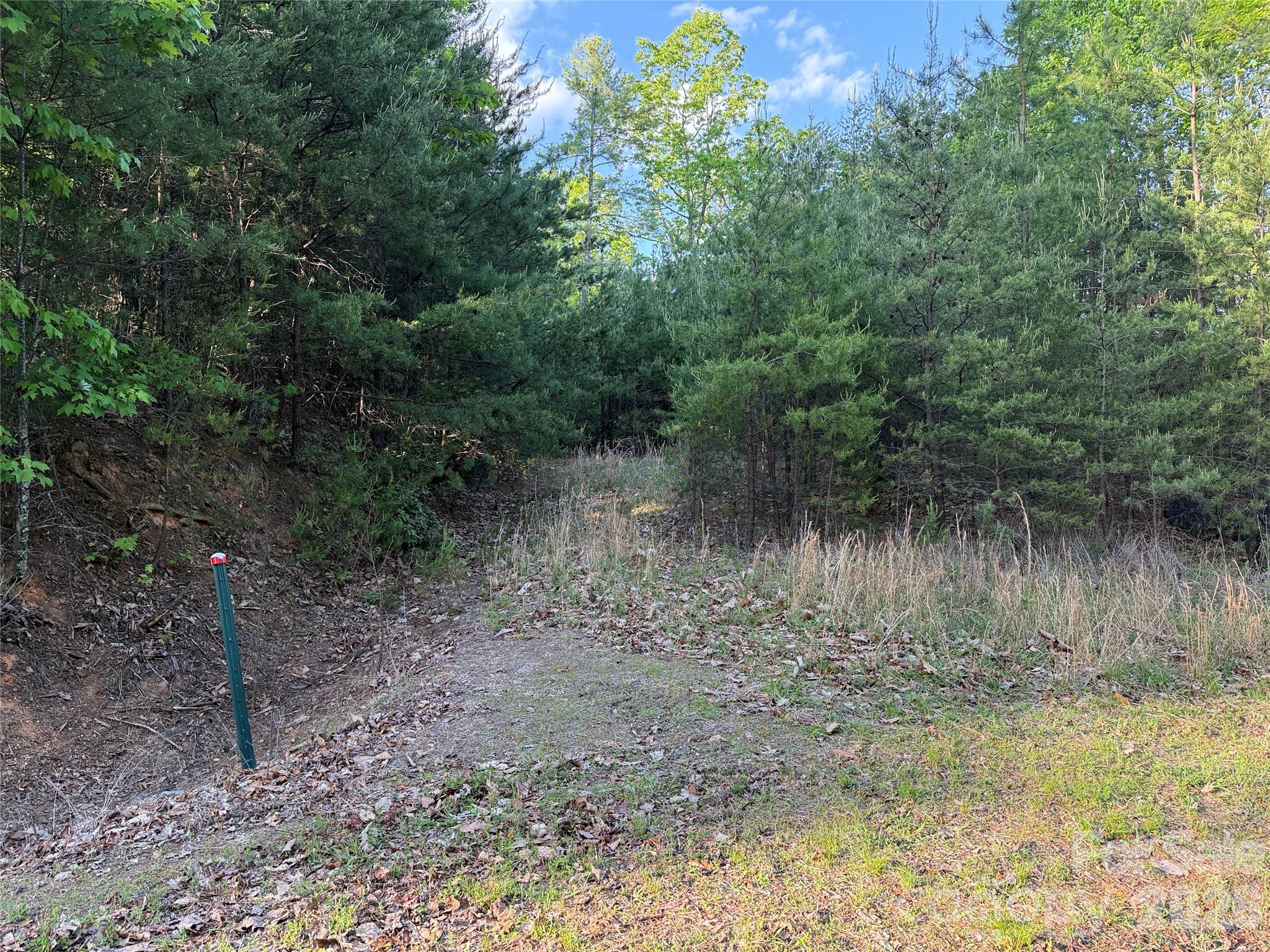 Tbd Wolf Pen Road Purlear NC 28665