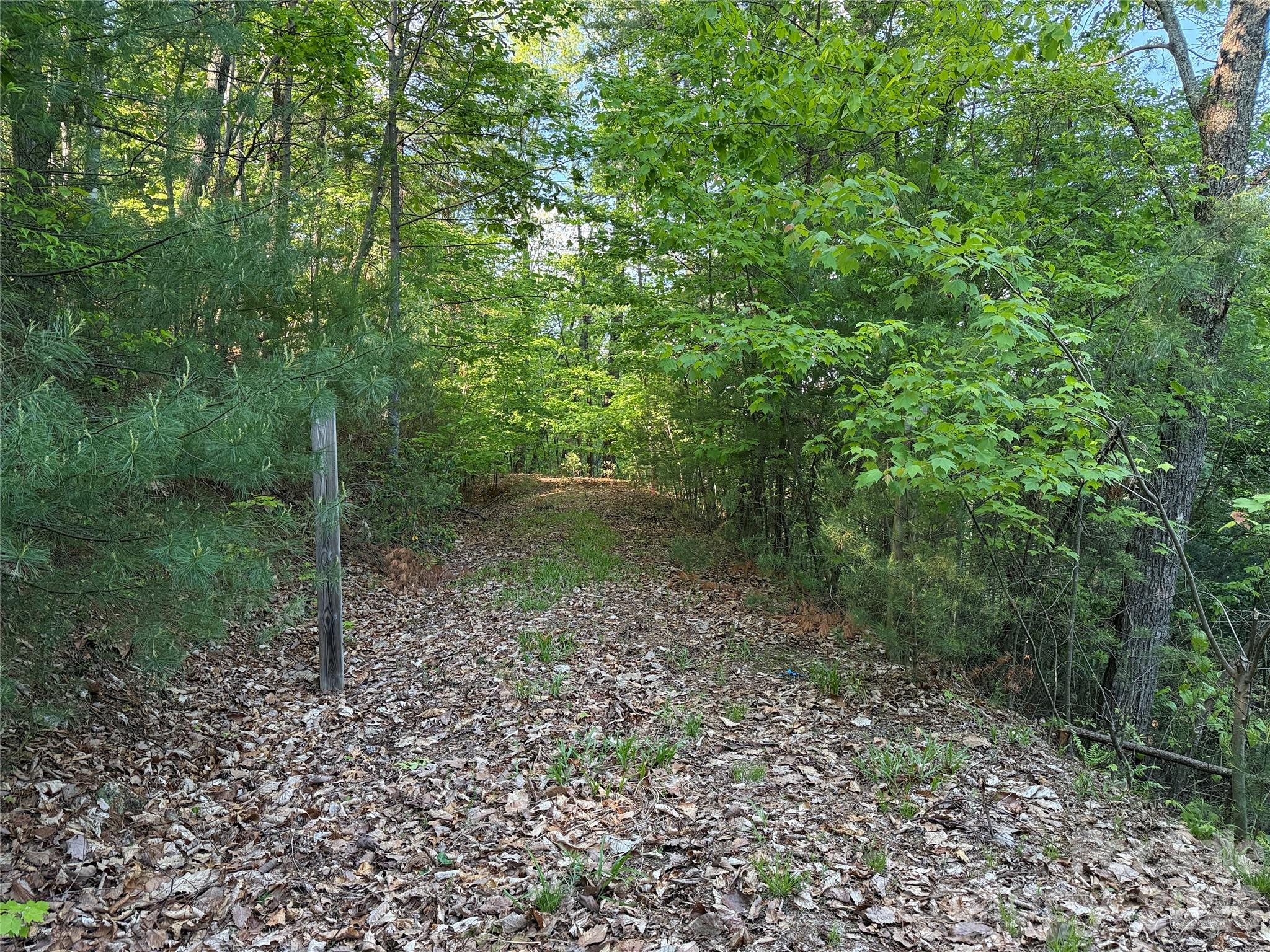 Tbd Wolf Pen Road Purlear NC 28665