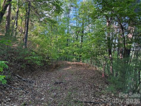Tbd Wolf Pen Road Purlear NC 28665