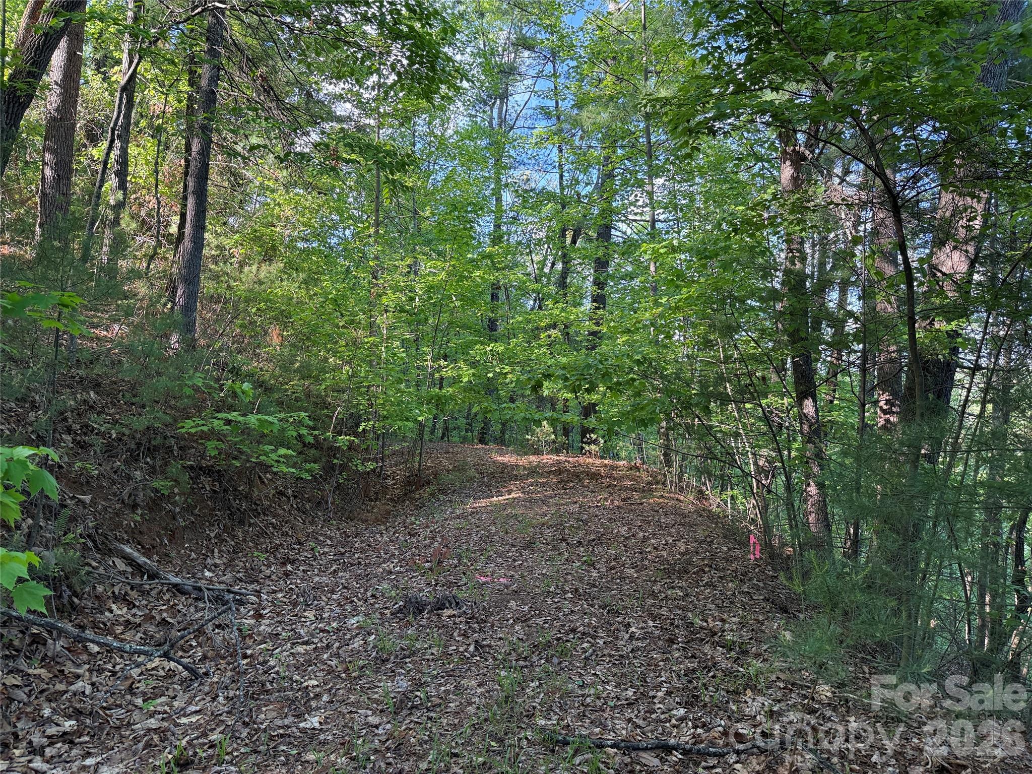 Tbd Wolf Pen Road Purlear NC 28665