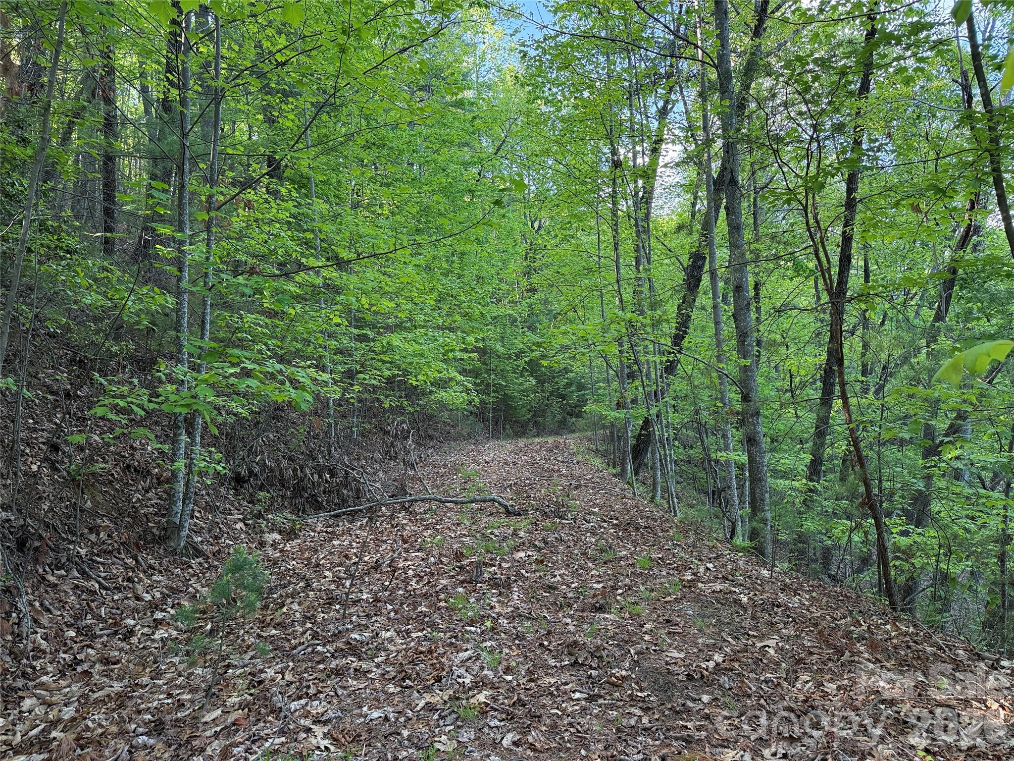 Tbd Wolf Pen Road Purlear NC 28665
