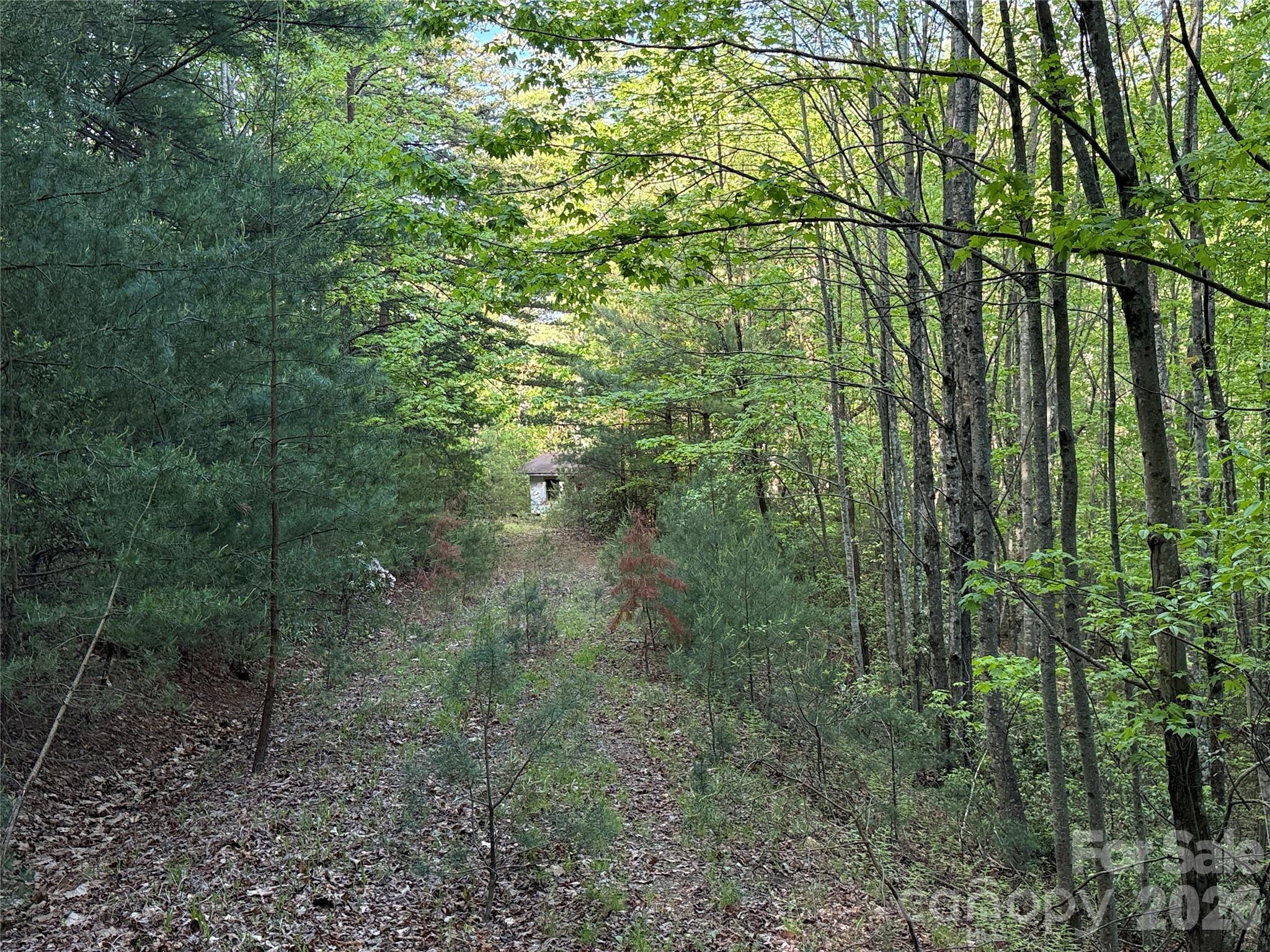 Tbd Wolf Pen Road Purlear NC 28665