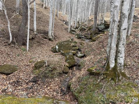 1975 Utah Mountain Road Waynesville NC 28785