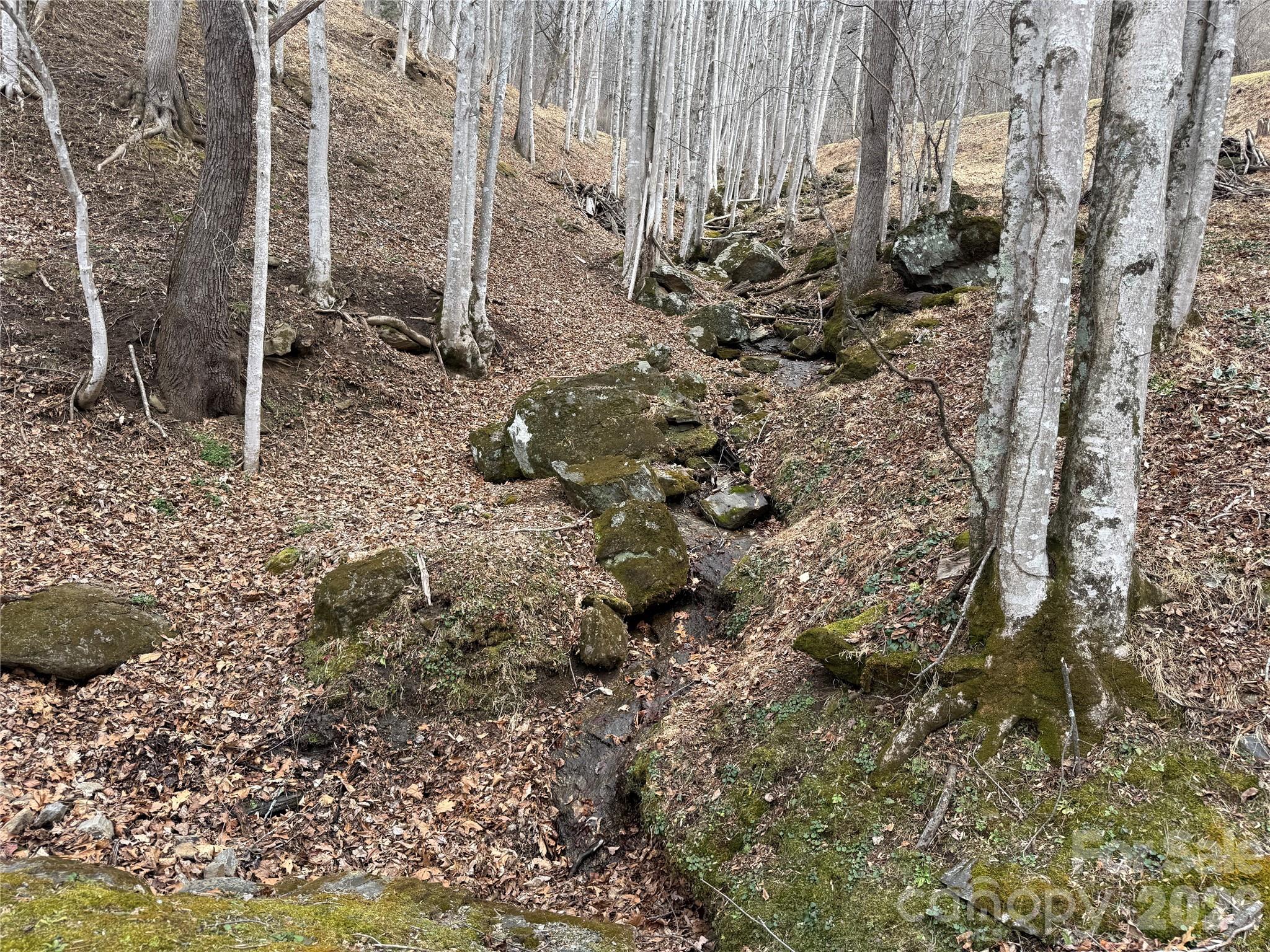 1975 Utah Mountain Road Waynesville NC 28785