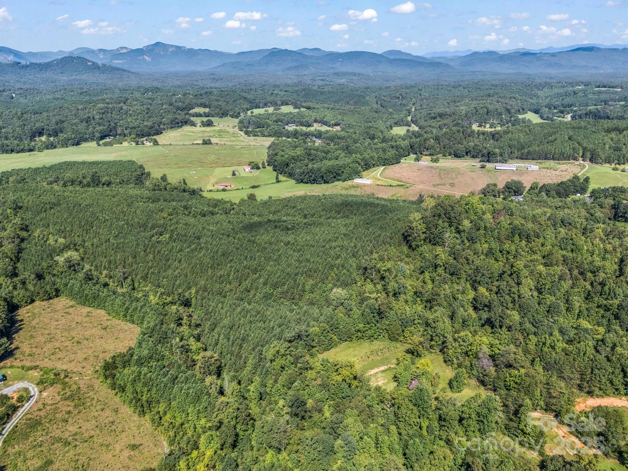 83.67 Acres Pleasant Grove Road Rutherfordton NC 28139