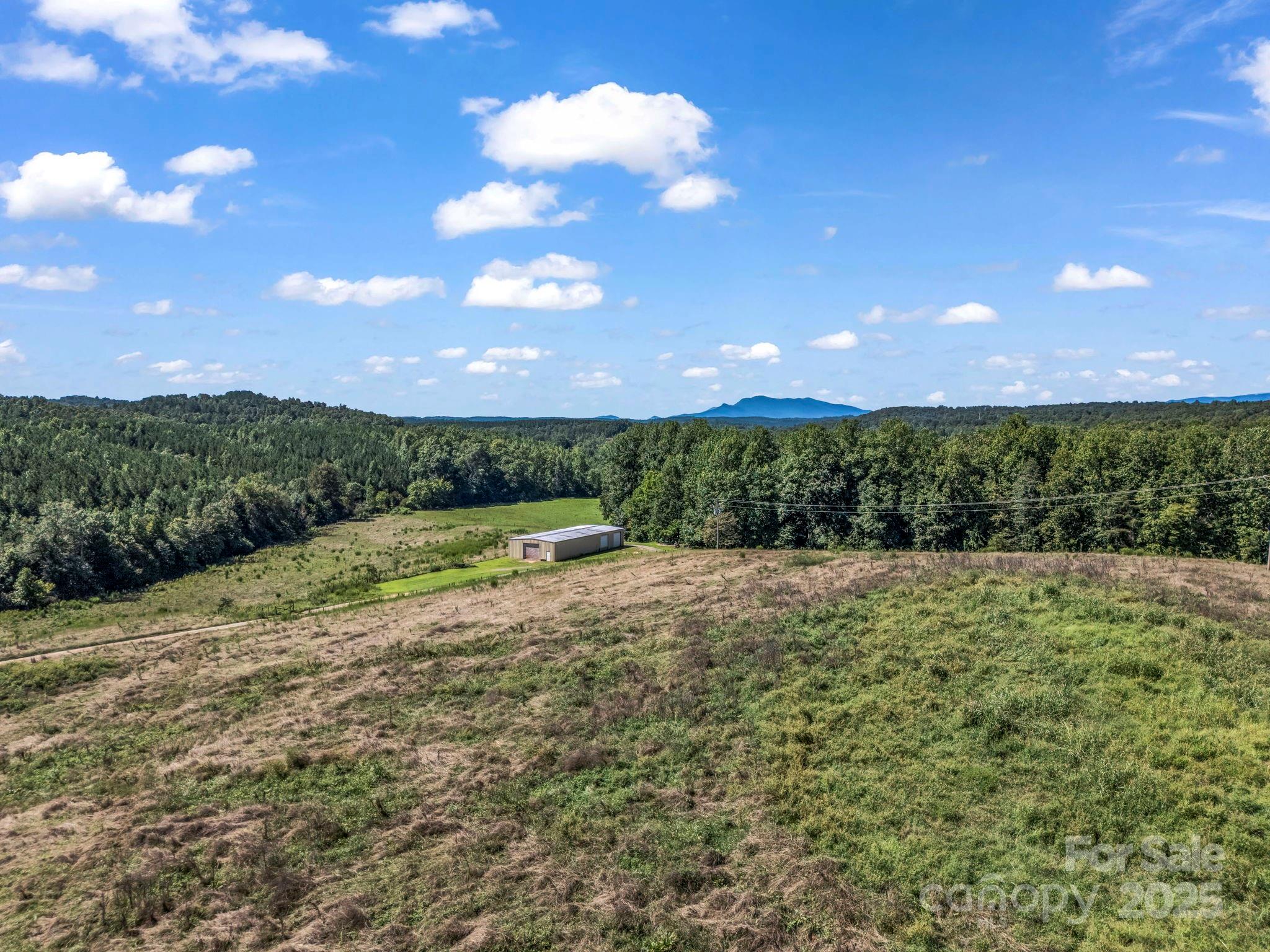 83.67 Acres Pleasant Grove Road Rutherfordton NC 28139