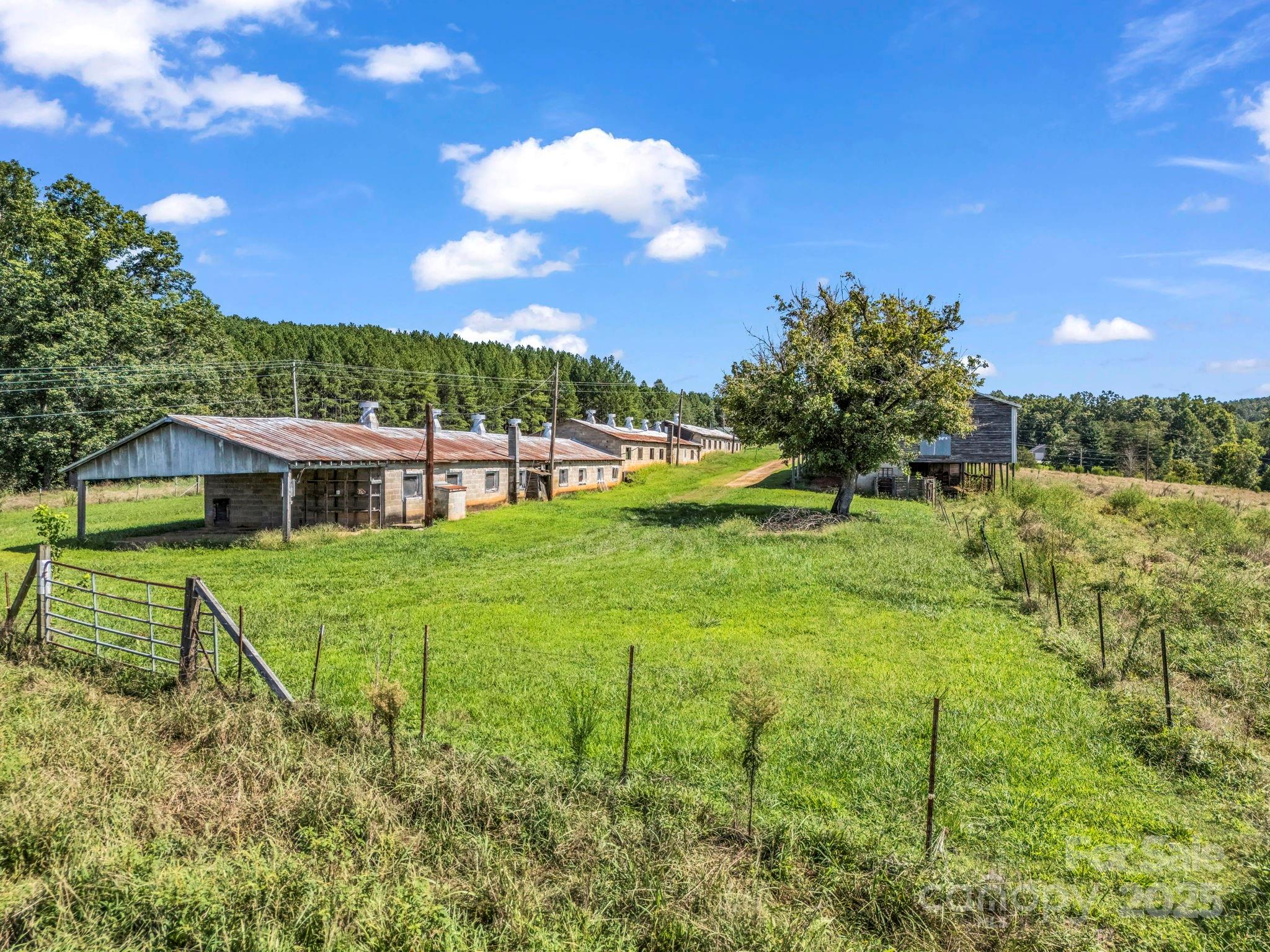 83.67 Acres Pleasant Grove Road Rutherfordton NC 28139
