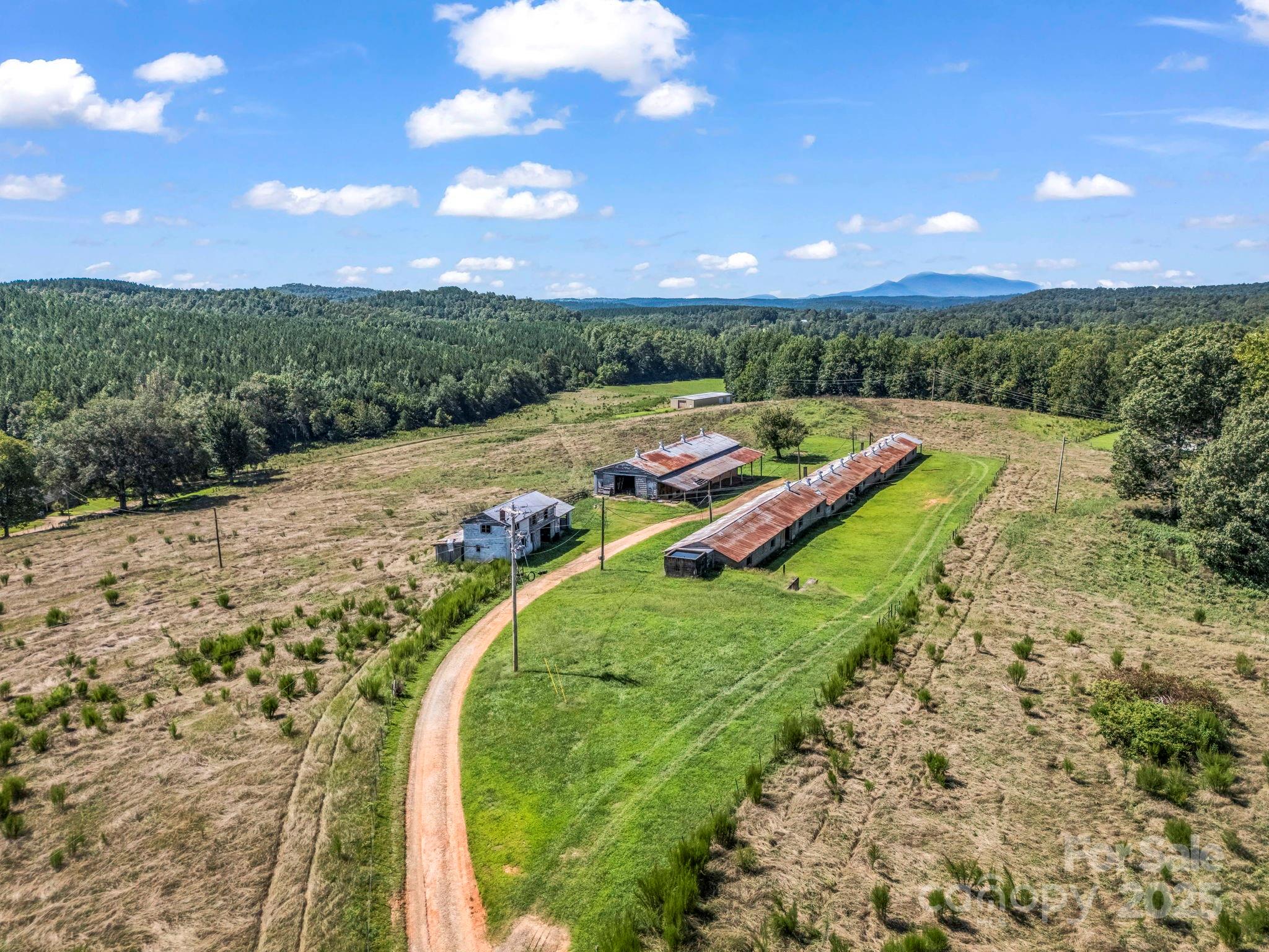83.67 Acres Pleasant Grove Road Rutherfordton NC 28139