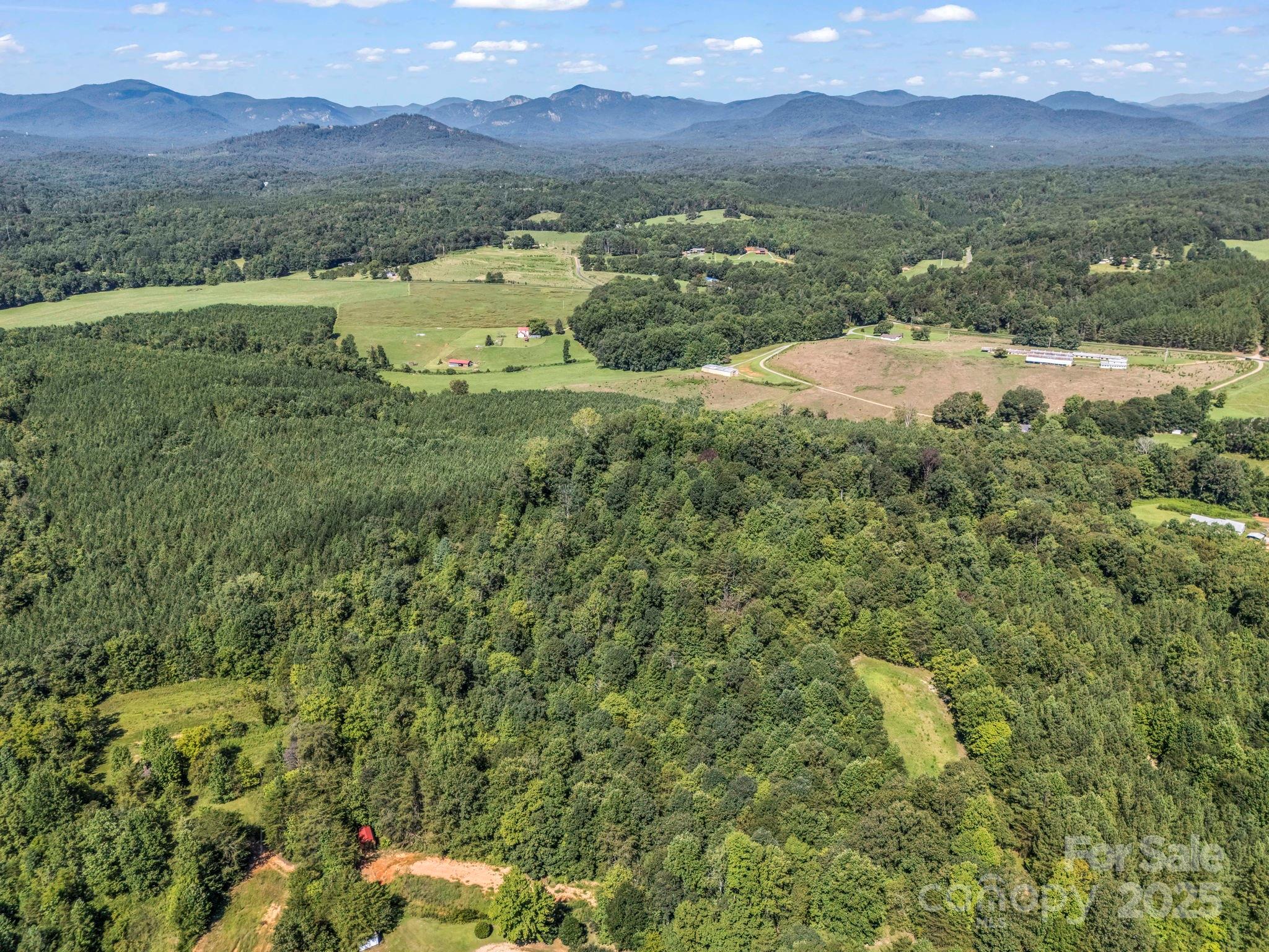 83.67 Acres Pleasant Grove Road Rutherfordton NC 28139