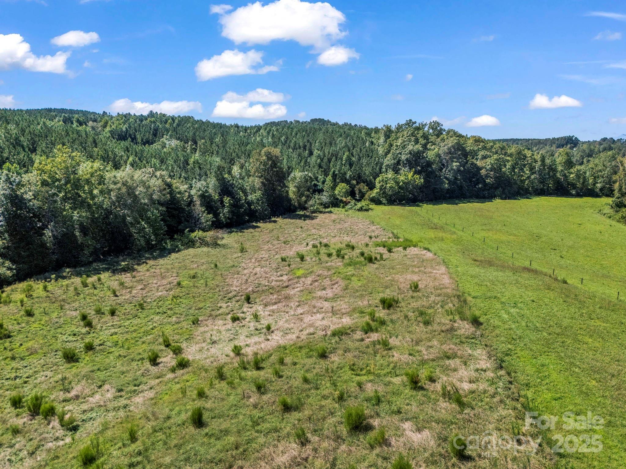 83.67 Acres Pleasant Grove Road Rutherfordton NC 28139