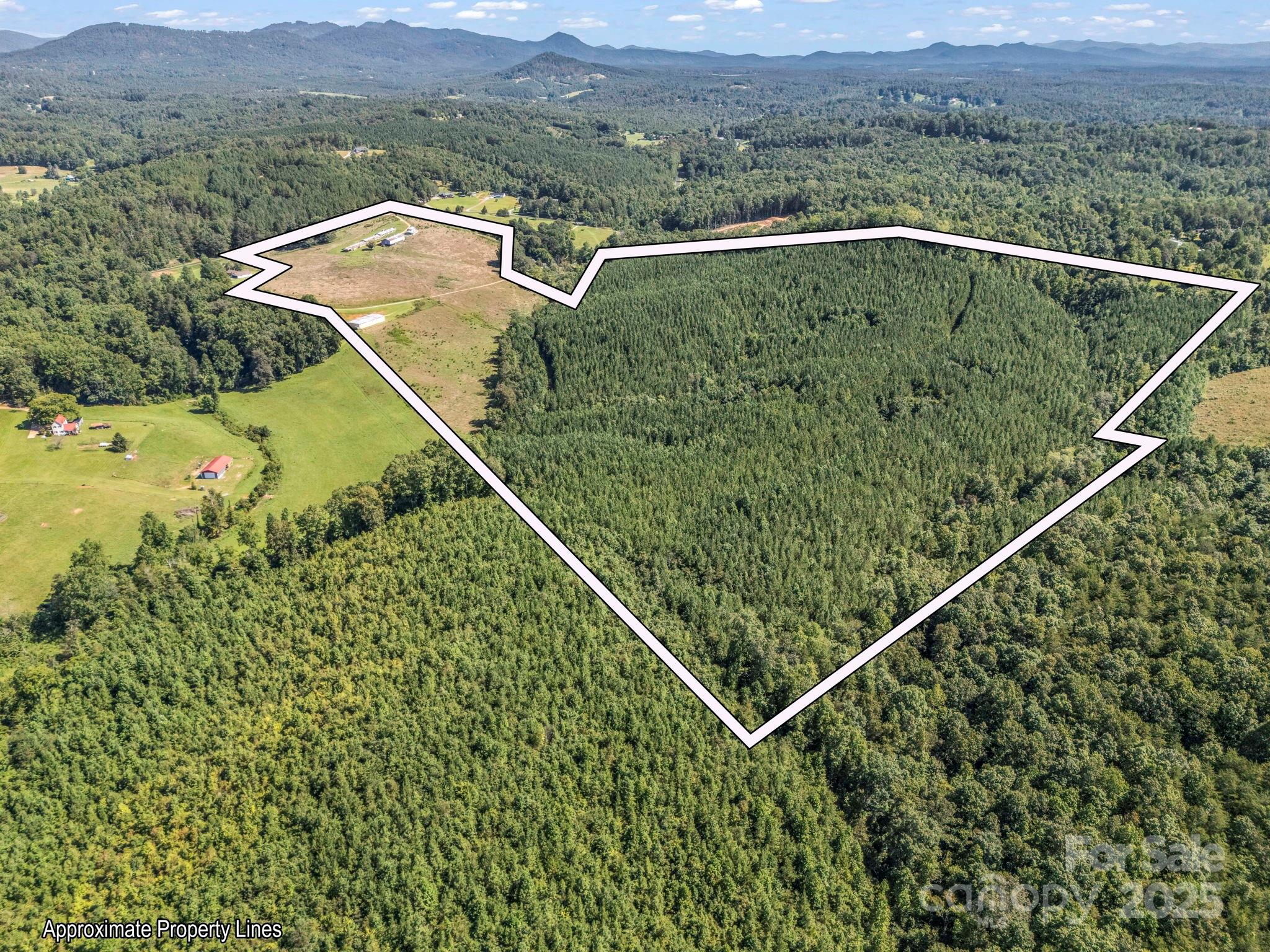 83.67 Acres Pleasant Grove Road Rutherfordton NC 28139
