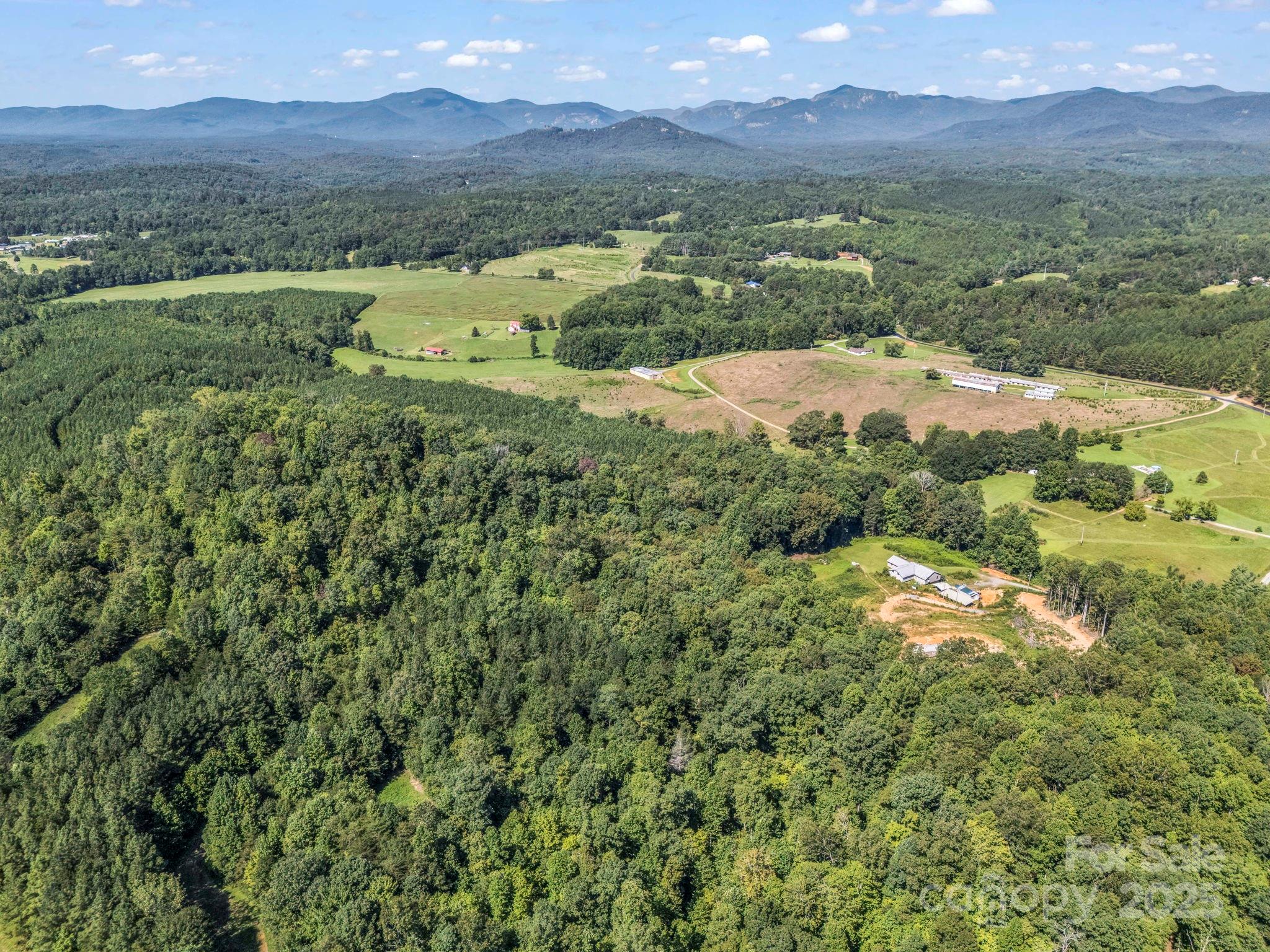 83.67 Acres Pleasant Grove Road Rutherfordton NC 28139