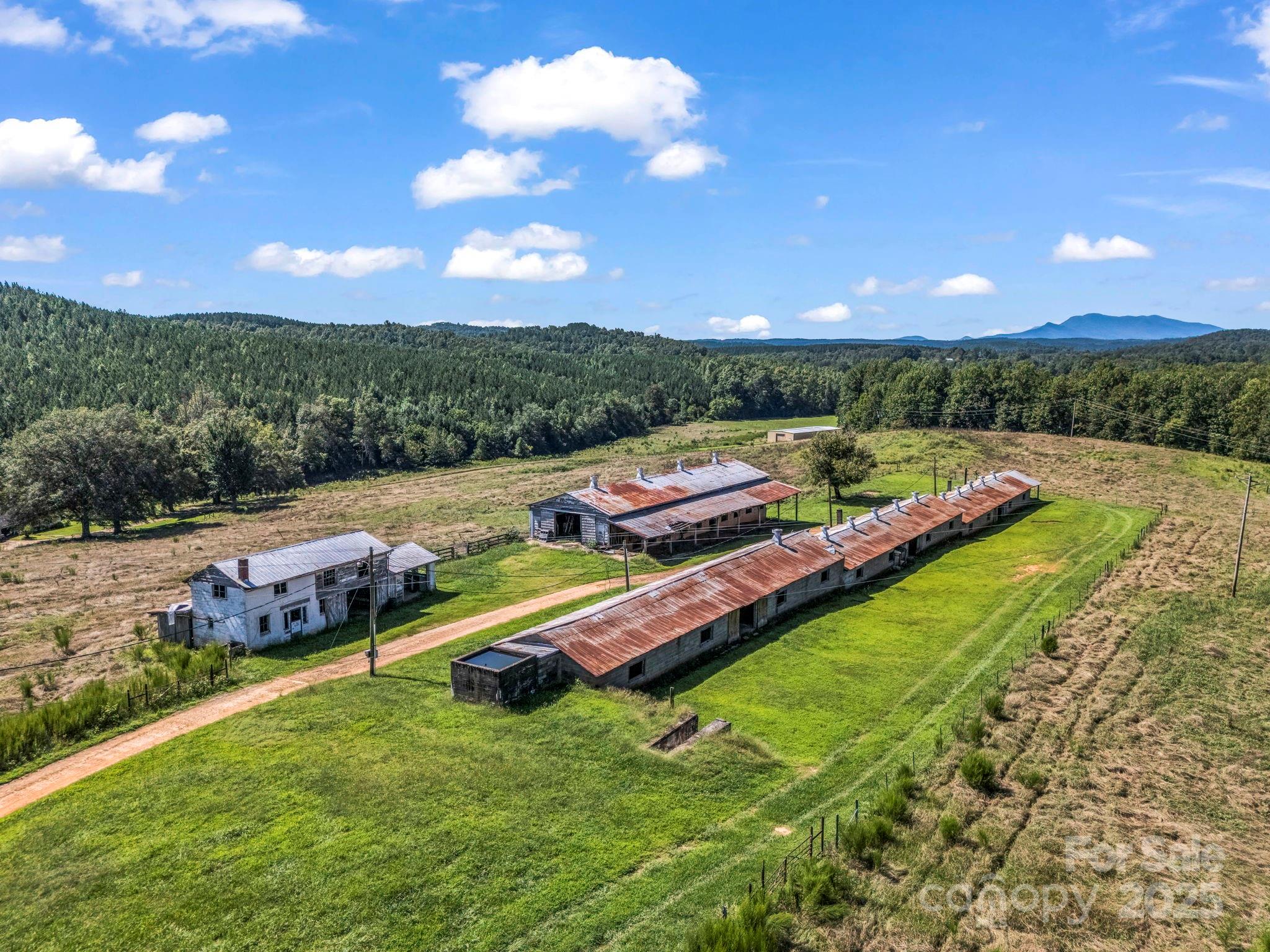 83.67 Acres Pleasant Grove Road Rutherfordton NC 28139