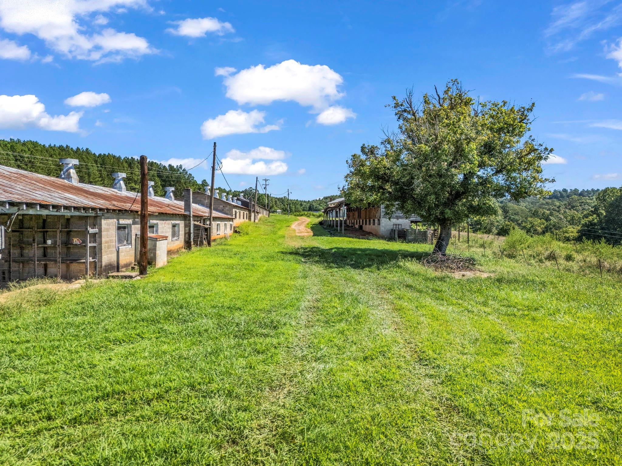 83.67 Acres Pleasant Grove Road Rutherfordton NC 28139