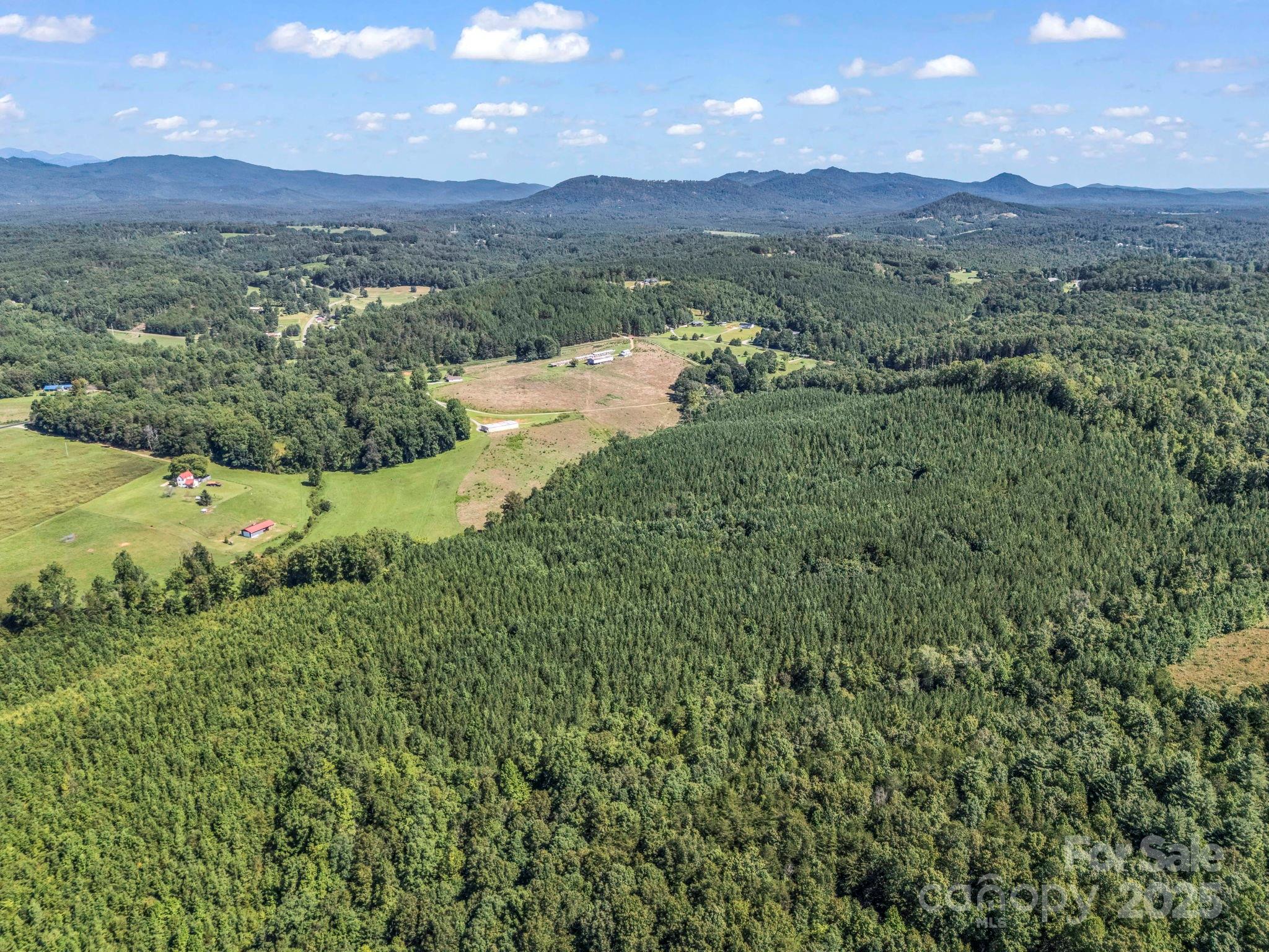 83.67 Acres Pleasant Grove Road Rutherfordton NC 28139