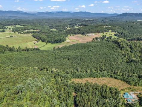 83.67 Acres Pleasant Grove Road Rutherfordton NC 28139