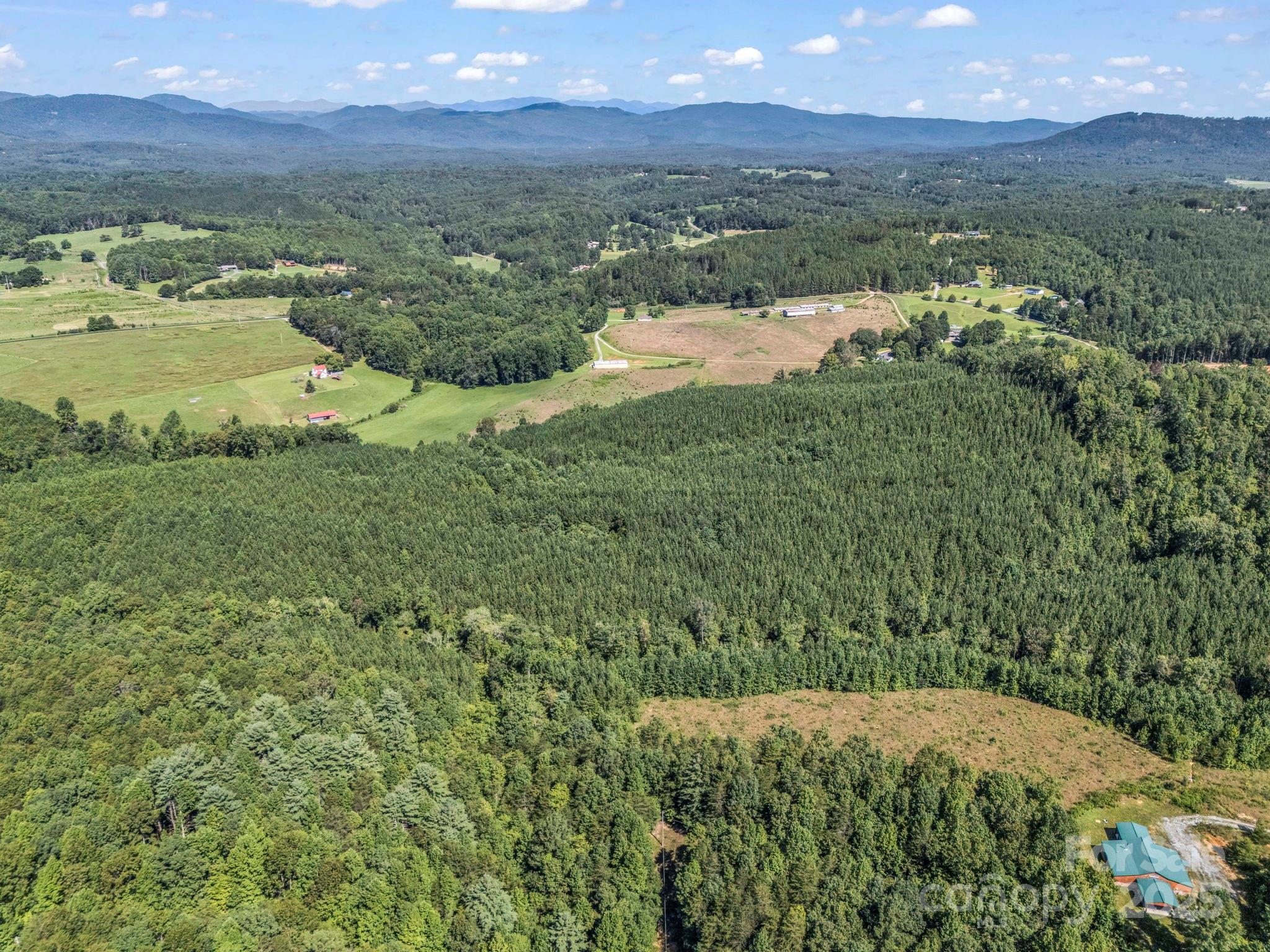83.67 Acres Pleasant Grove Road Rutherfordton NC 28139