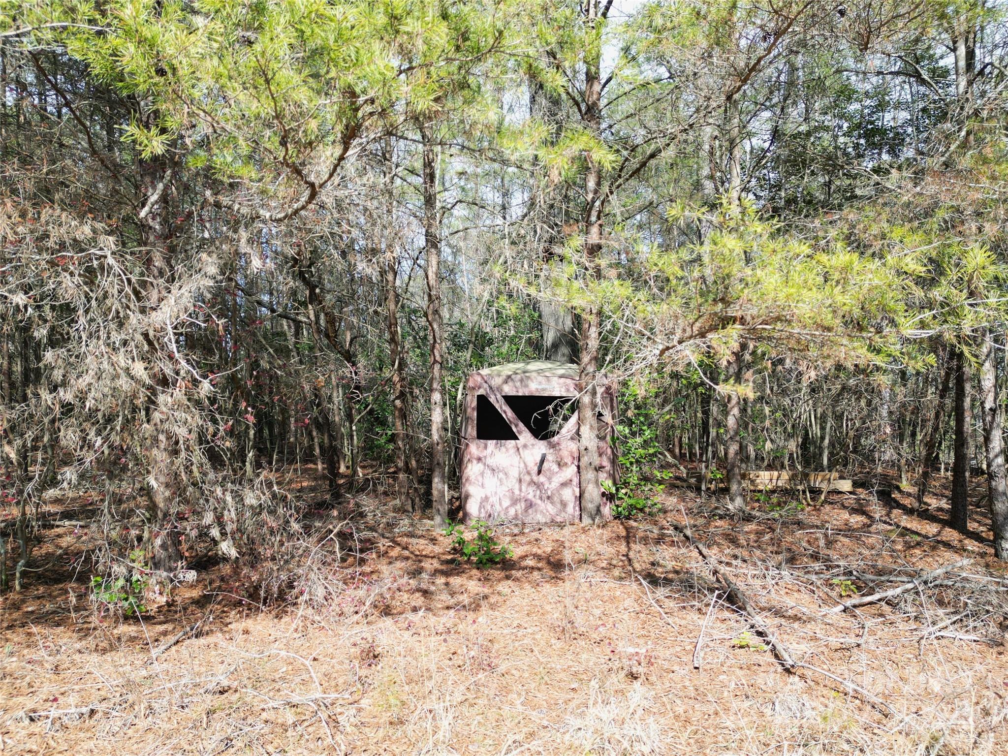 Tbd Grassy Island Road Ellerbe NC 28338