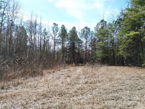 Tbd Grassy Island Road Ellerbe NC 28338