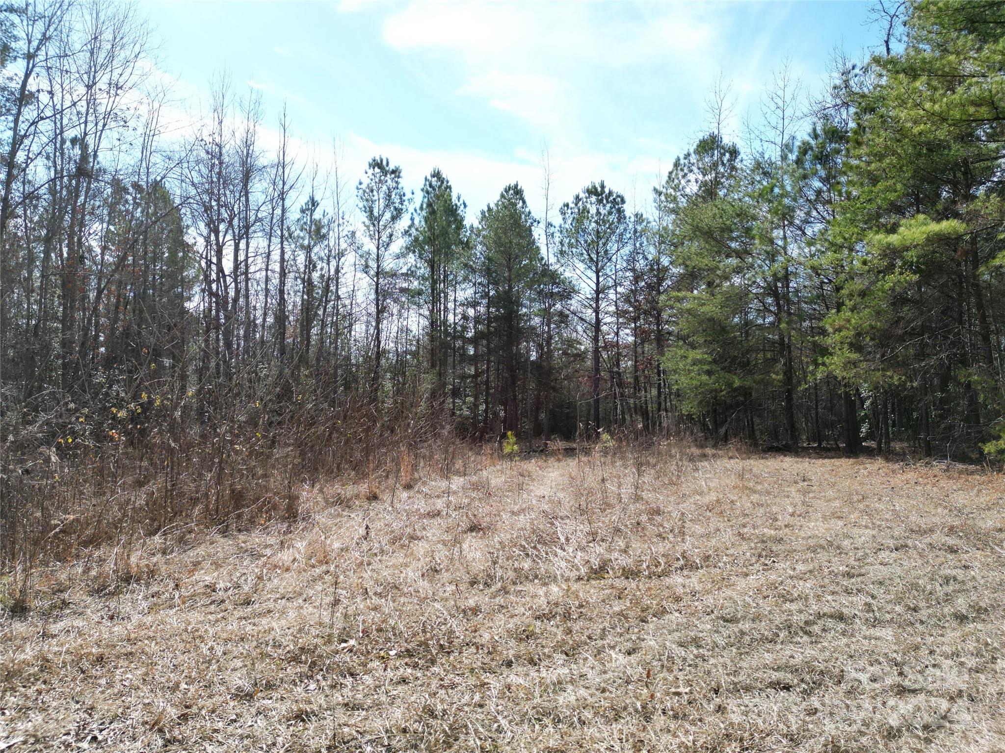 Tbd Grassy Island Road Ellerbe NC 28338