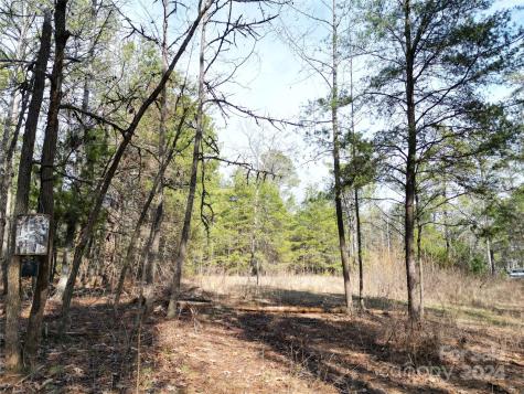 Tbd Grassy Island Road Ellerbe NC 28338